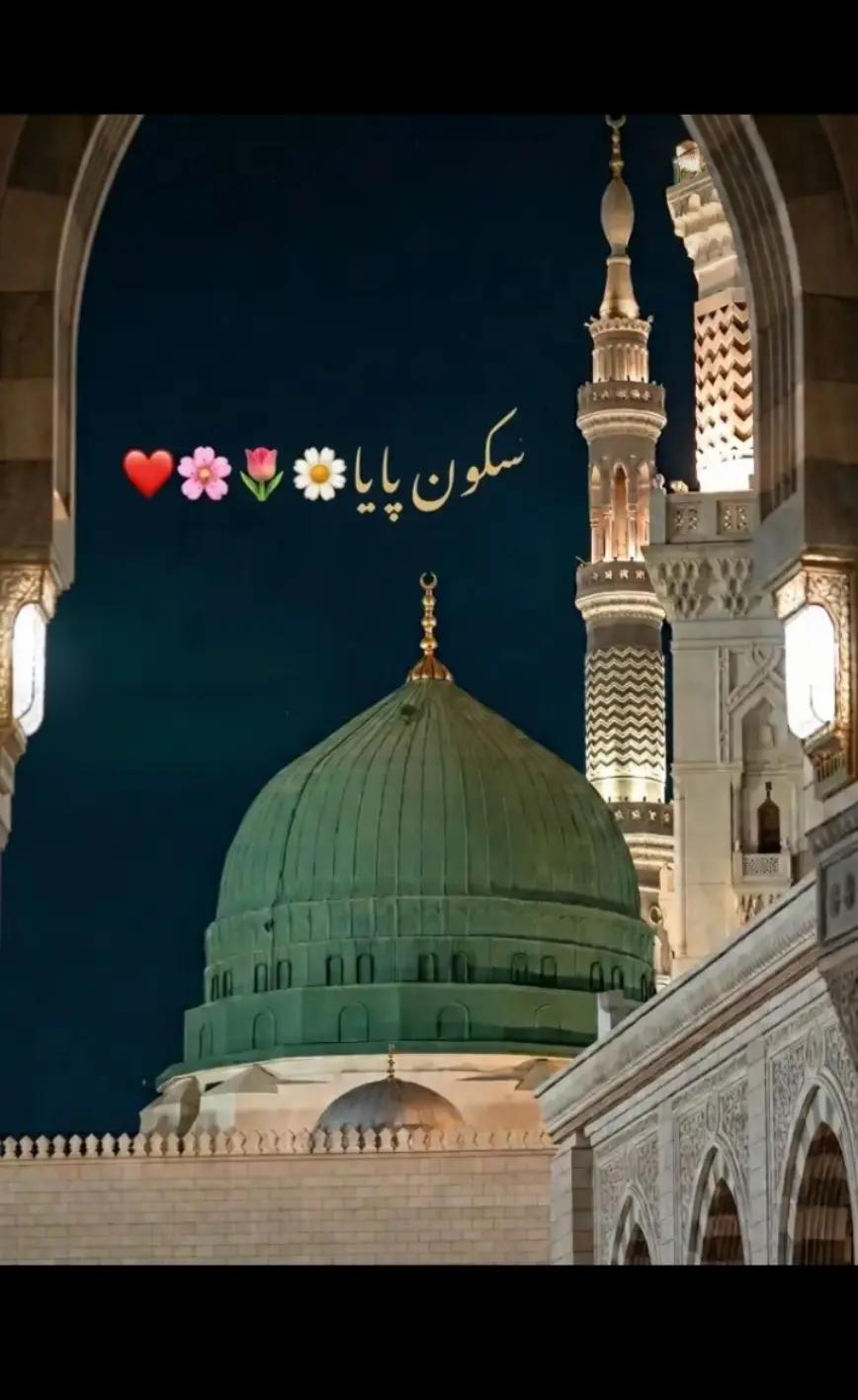 @Saqib Ali001✅⛎