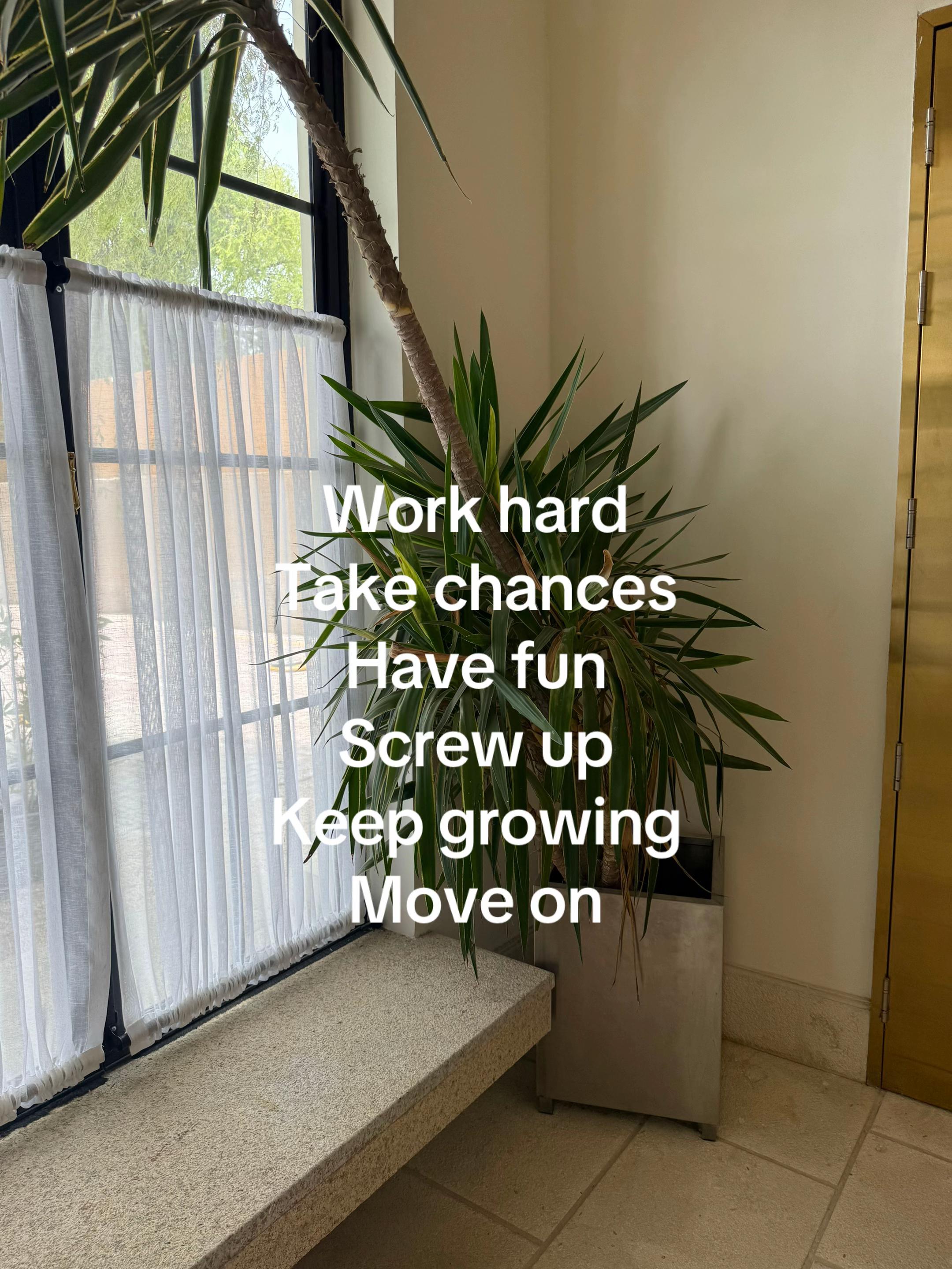 @Zoom