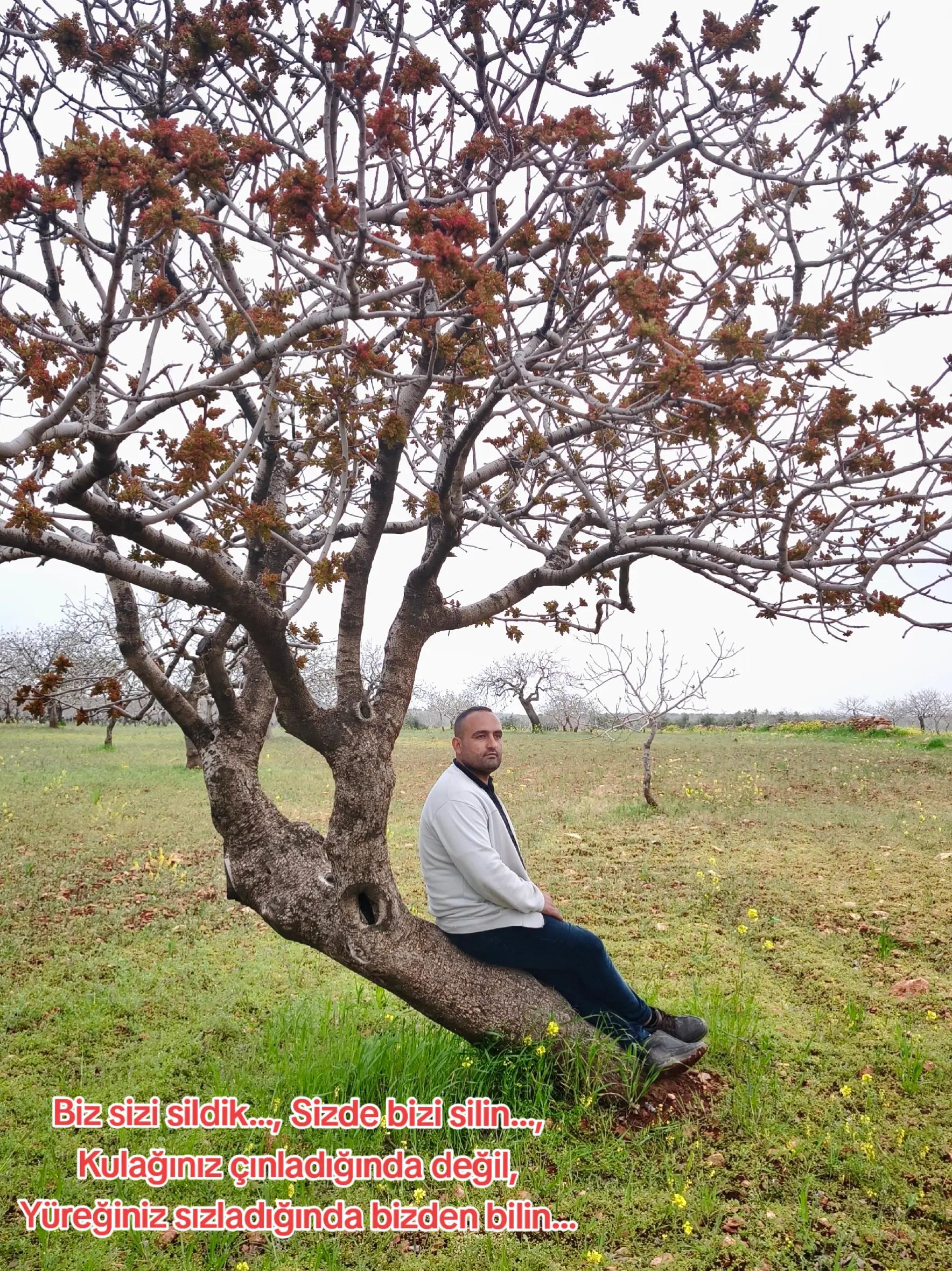 @Mehmet Bayraktar