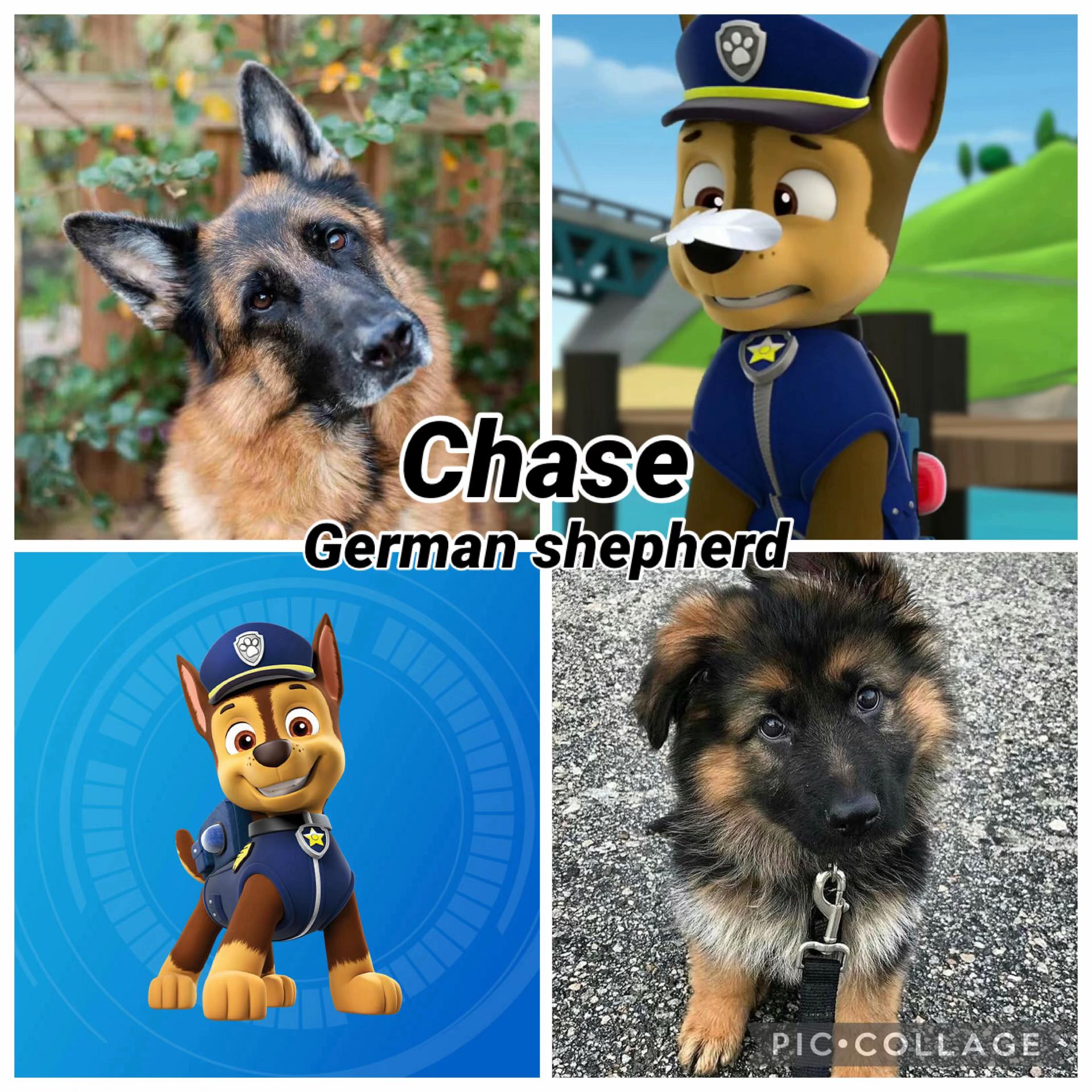 @𝐿𝓊𝒸𝓎