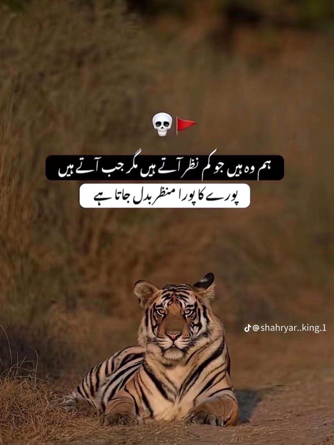 @🇵🇰 BHATTi SAB 🇬🇧