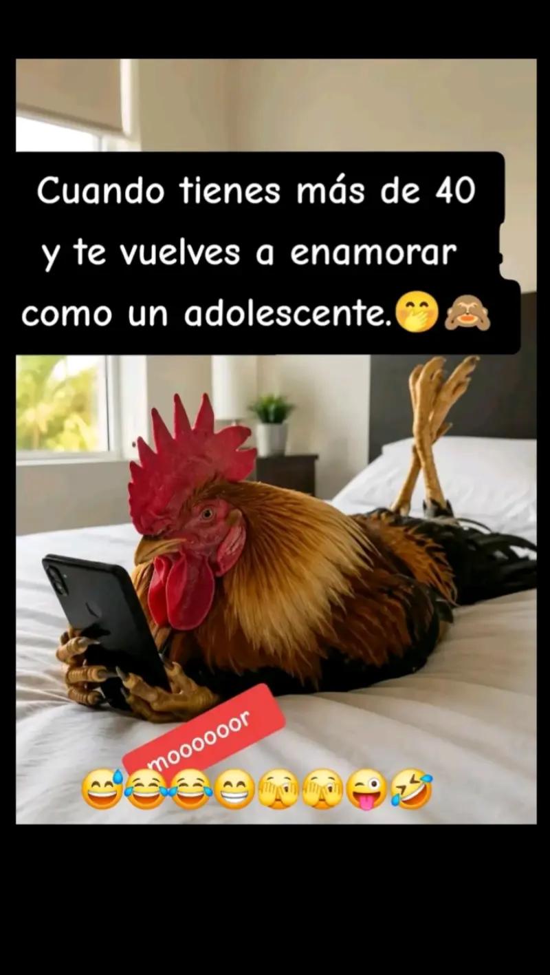 @Rosita Mu&ntilde;oz