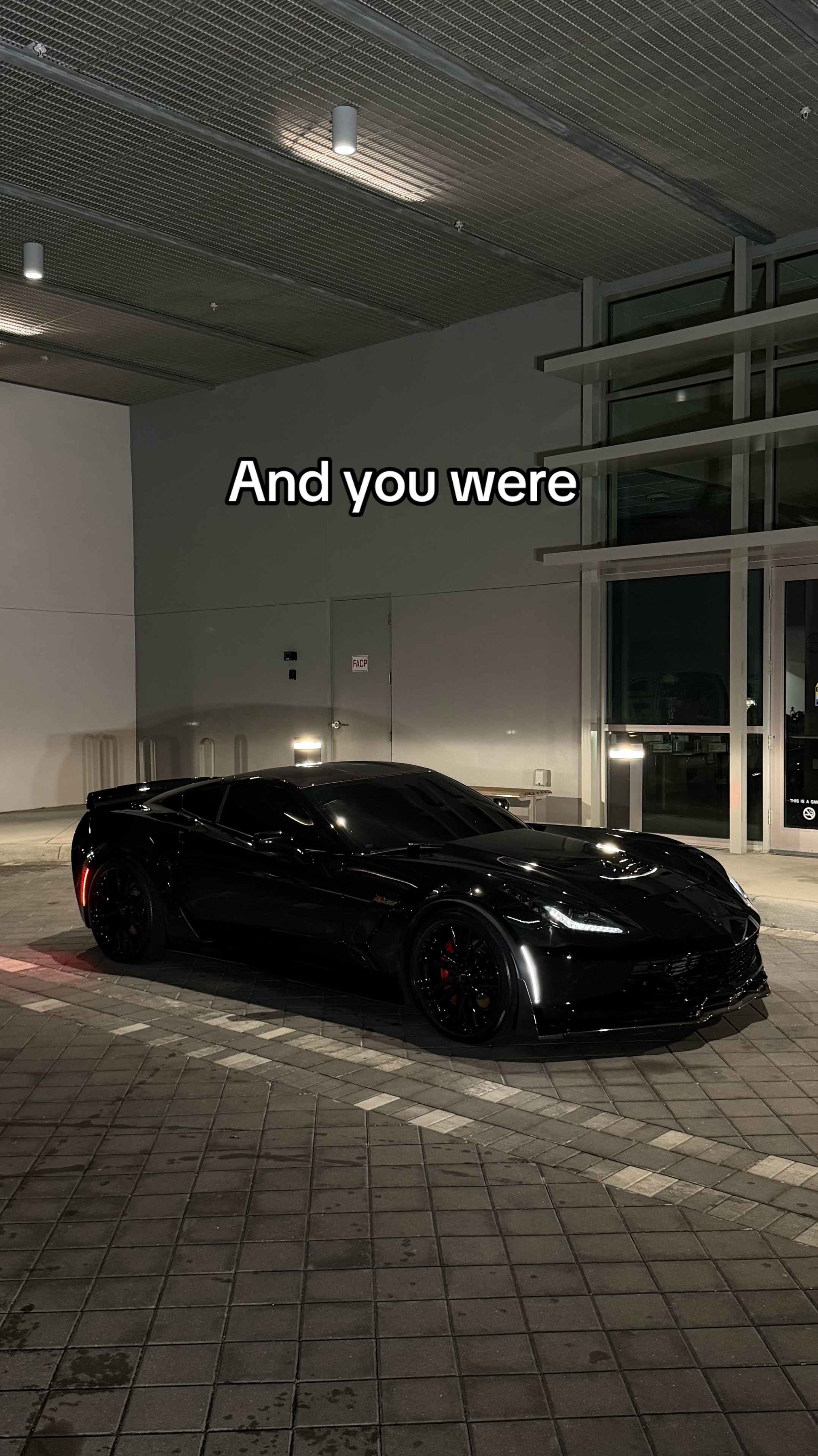 @collier🦇