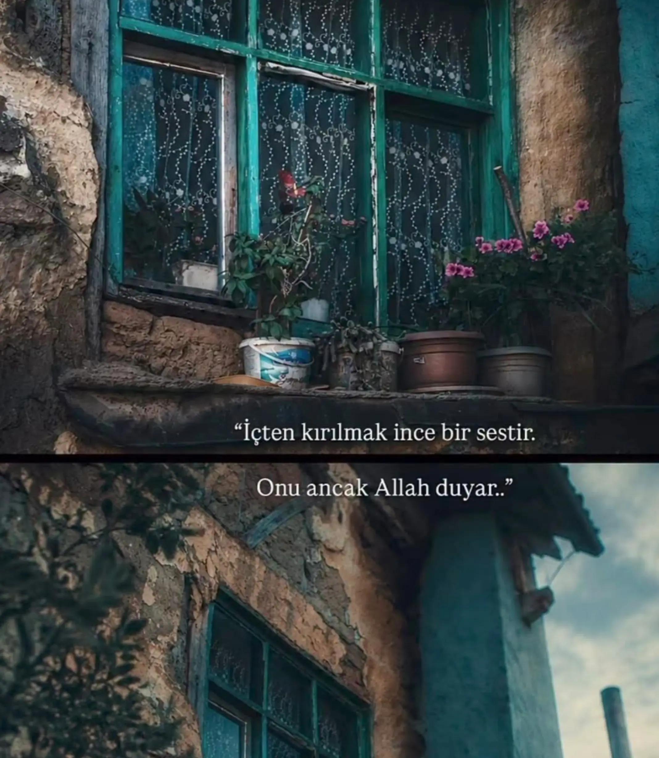 @Ceren Şentürk