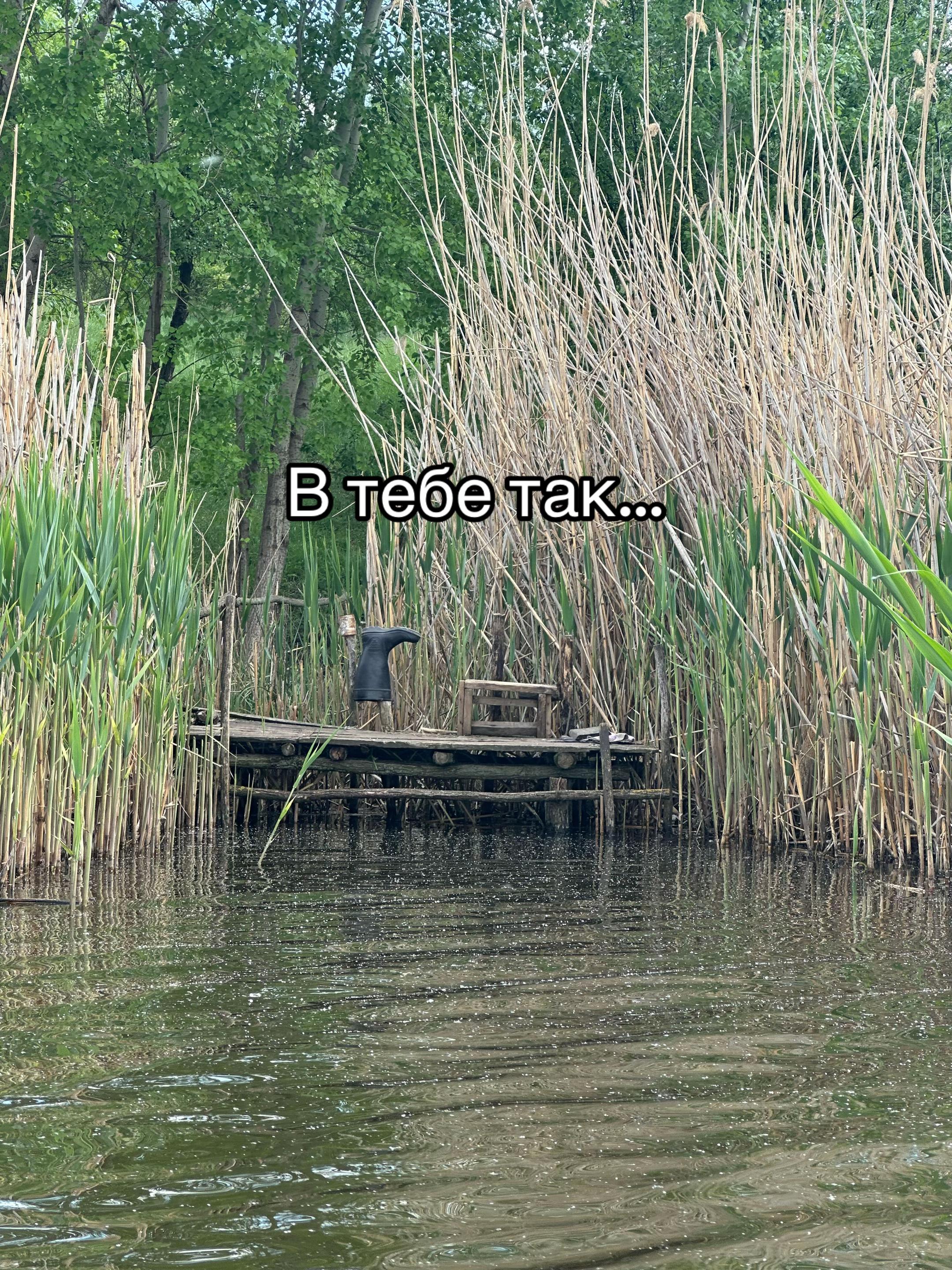 @РИБАЦЬКА МАНІЯ