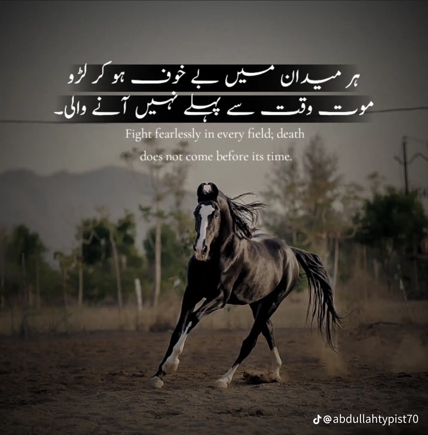 @usama hu yaar❤️🔥😜🤪