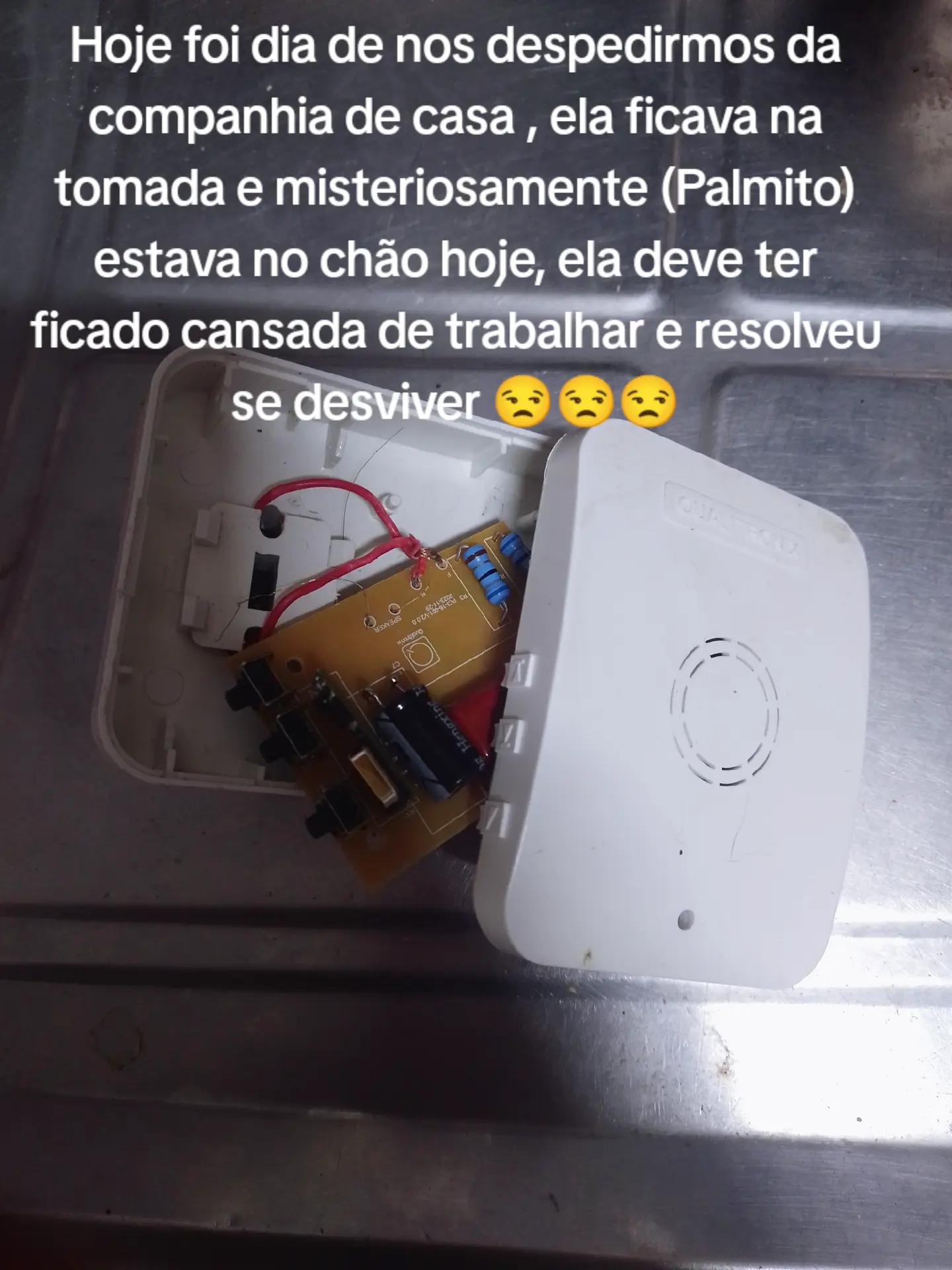@Andreia Amaral