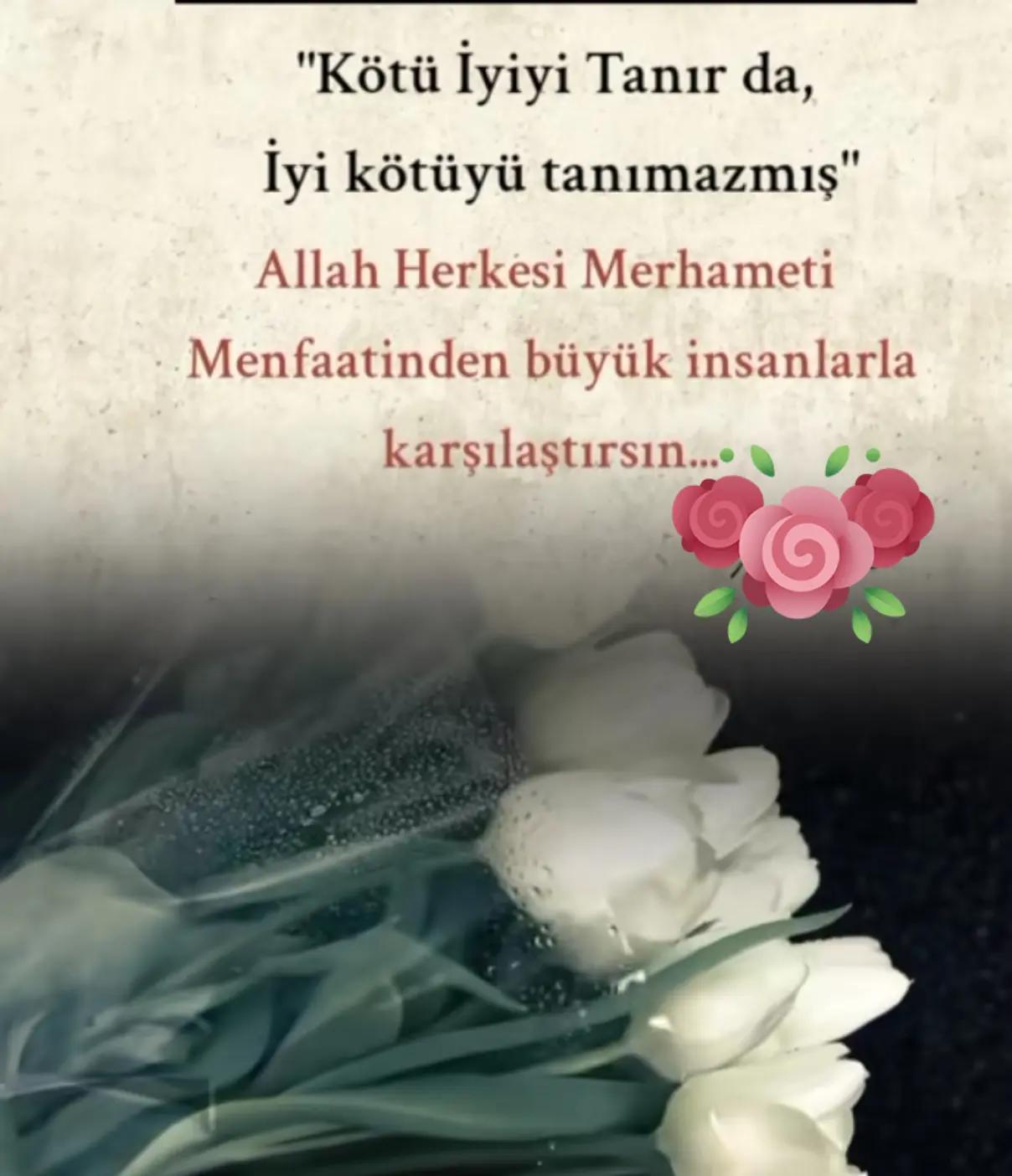 @mecnun