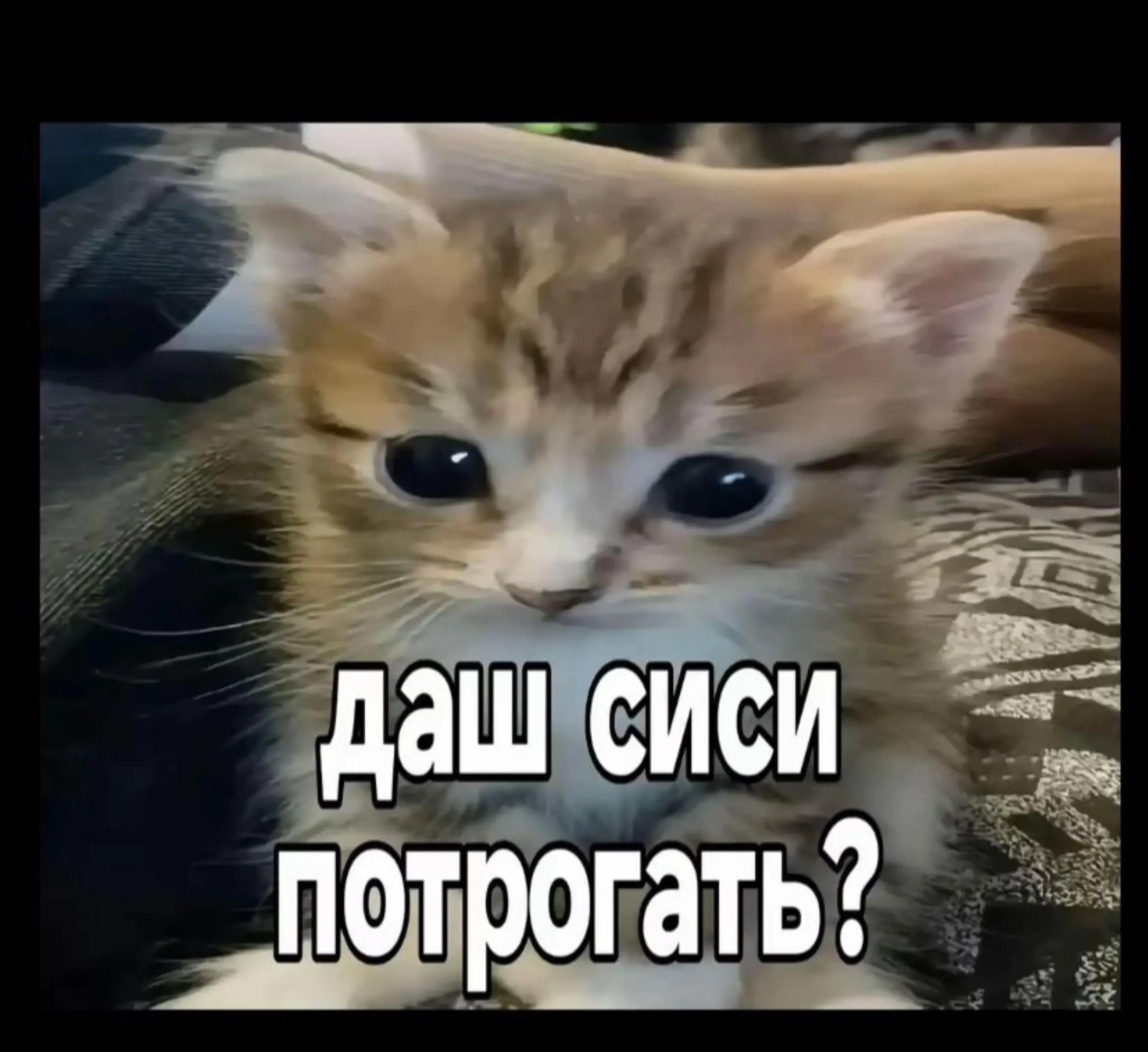@🐾𝕃𝕠𝕧𝕖 𝕃𝕒𝕡𝕒&hearts;️