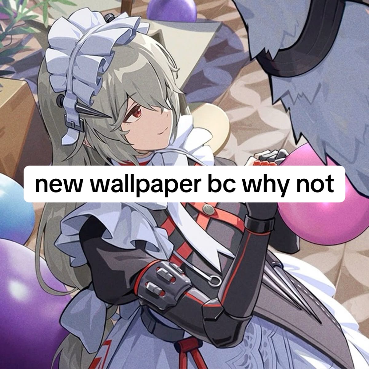 @Kaguya