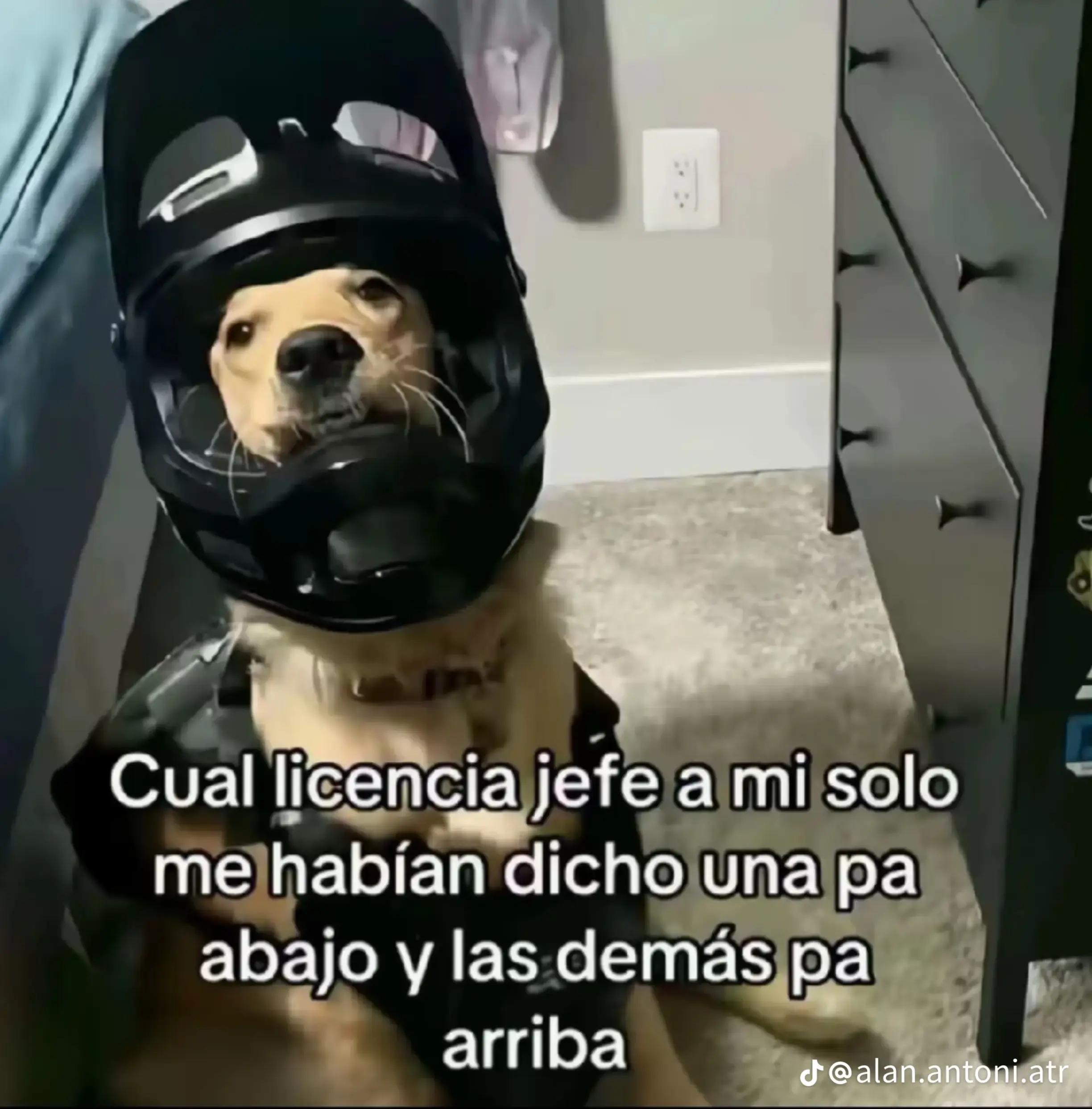 @xox.com
