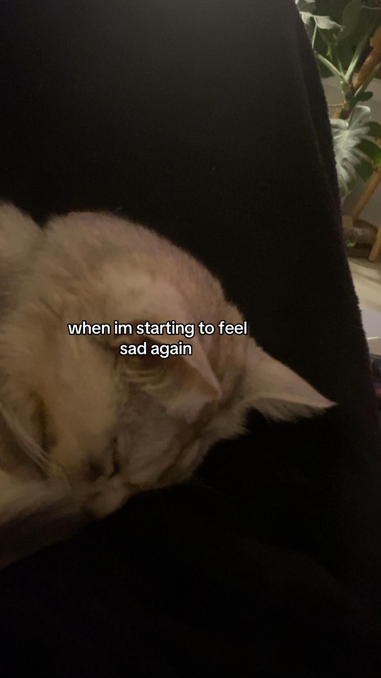 @a
