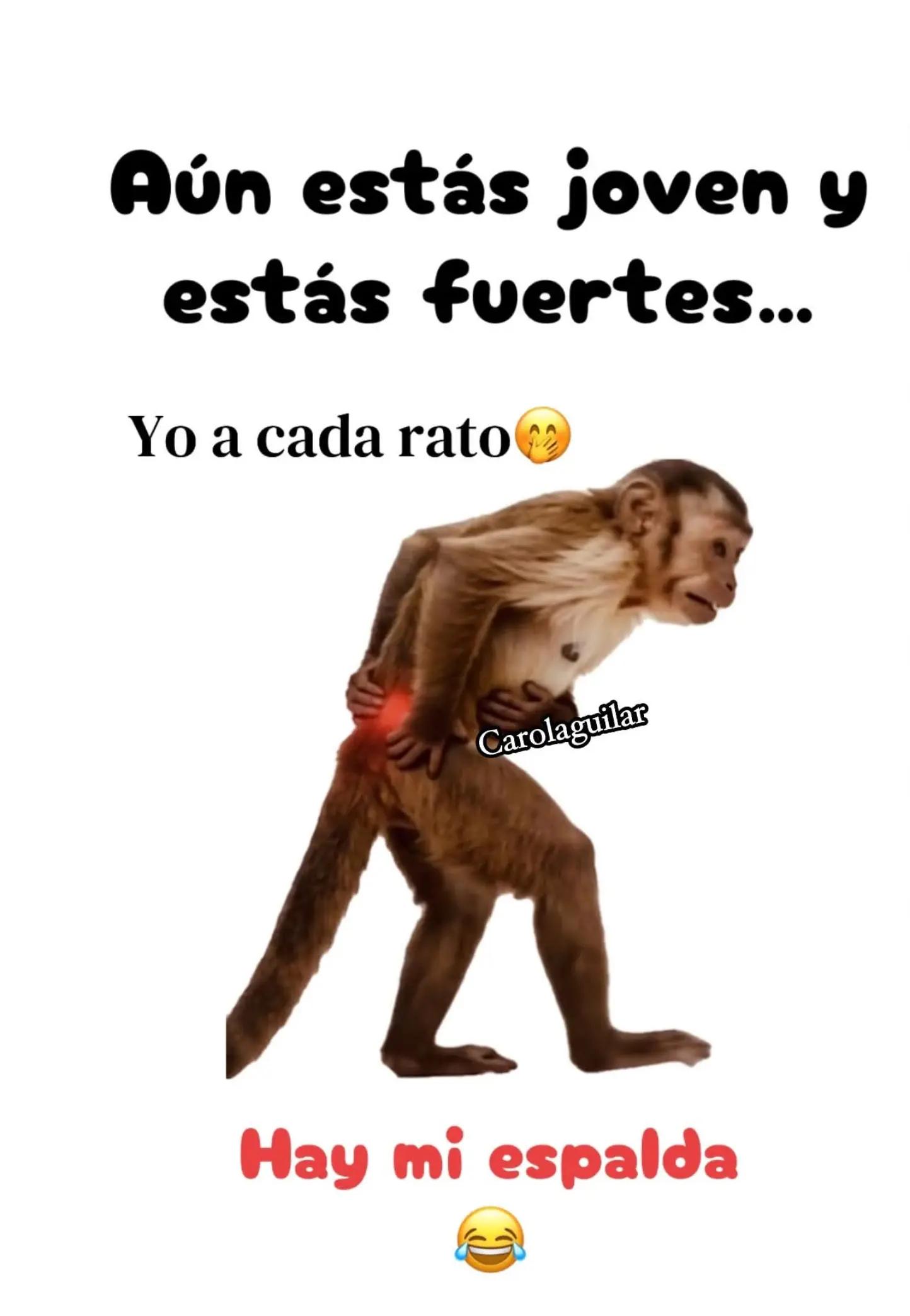 @Mariano 🇬🇹