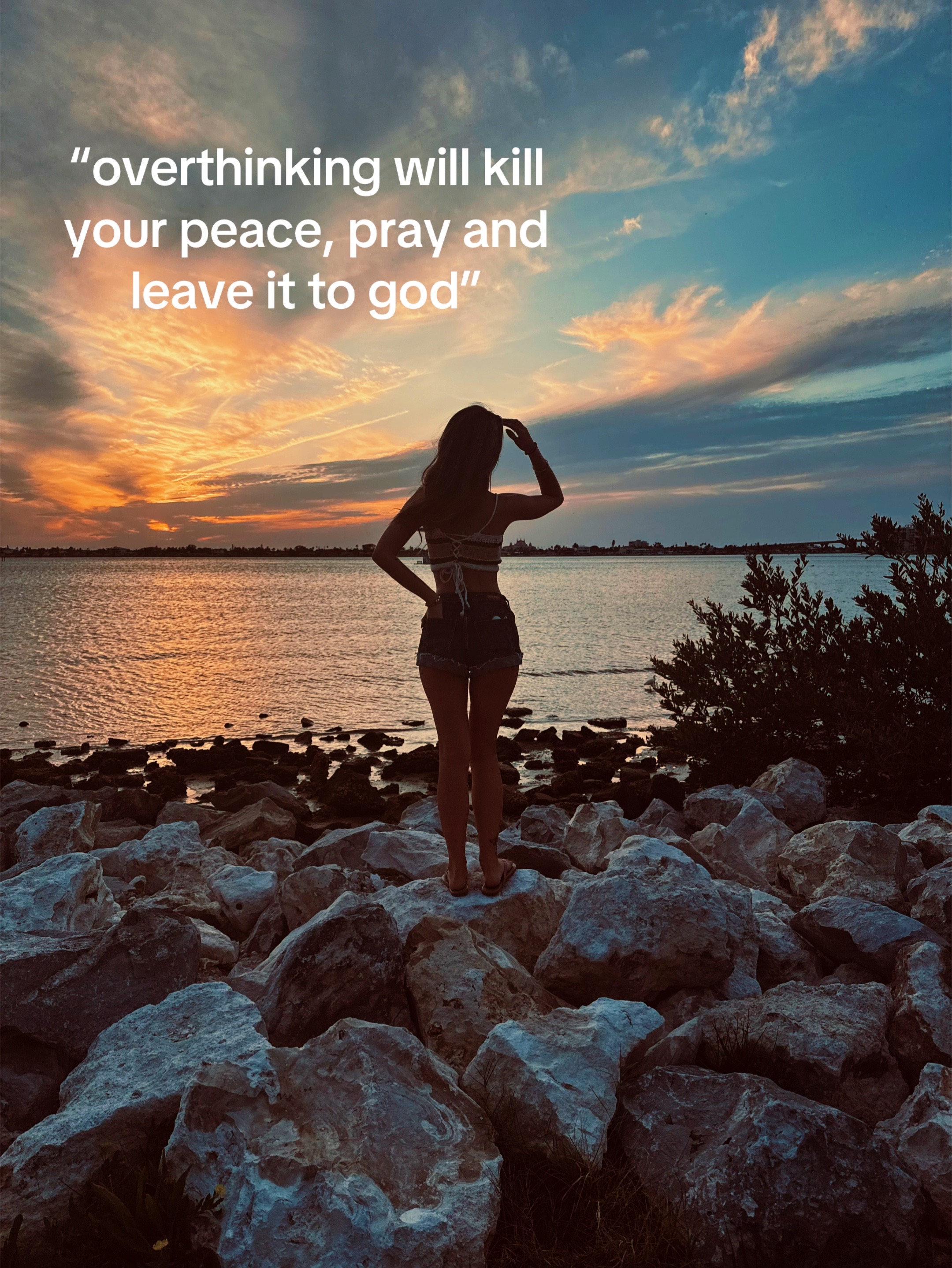 @⋆Alivia🂾