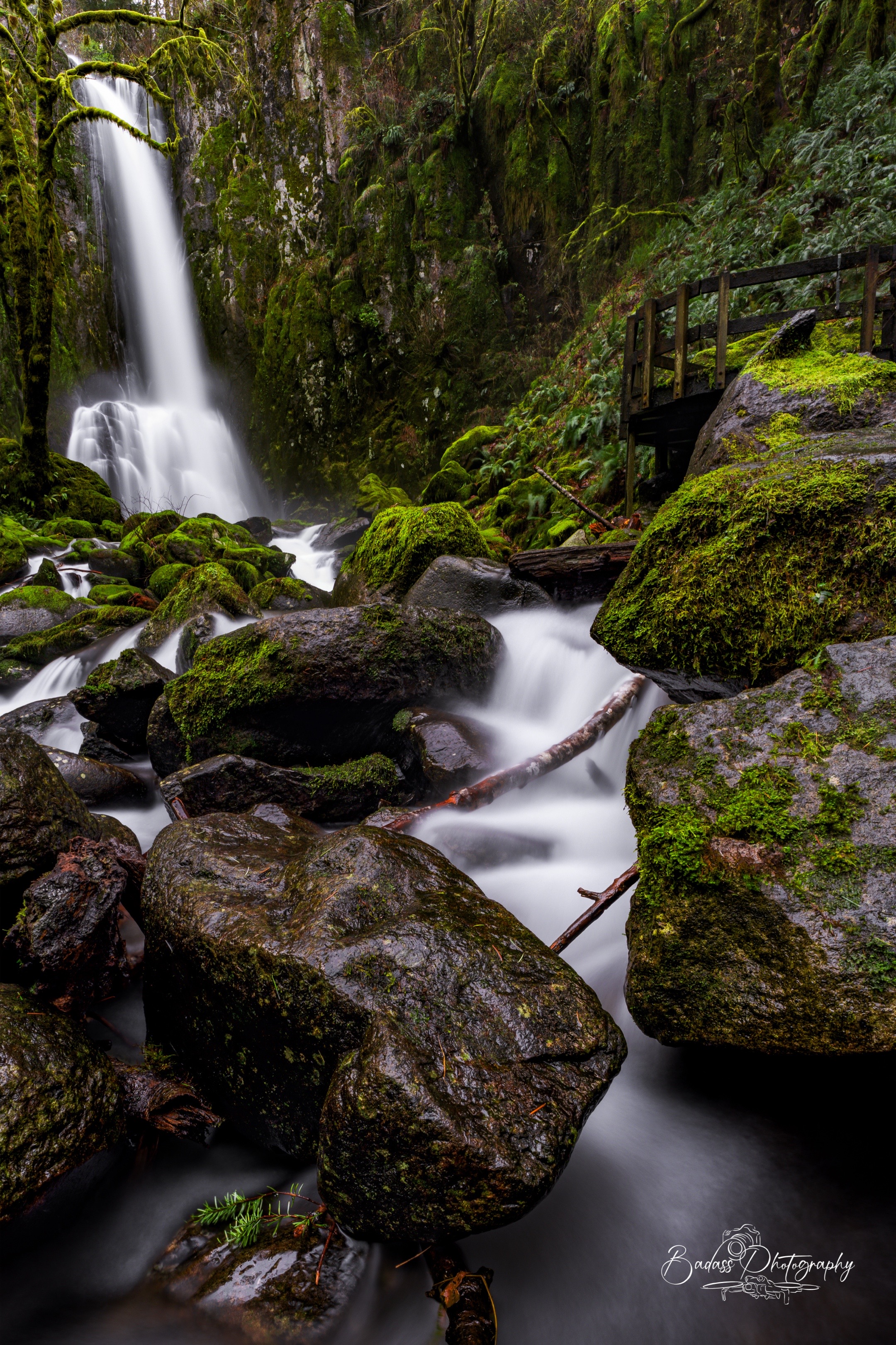 @Badassphotography_PNW