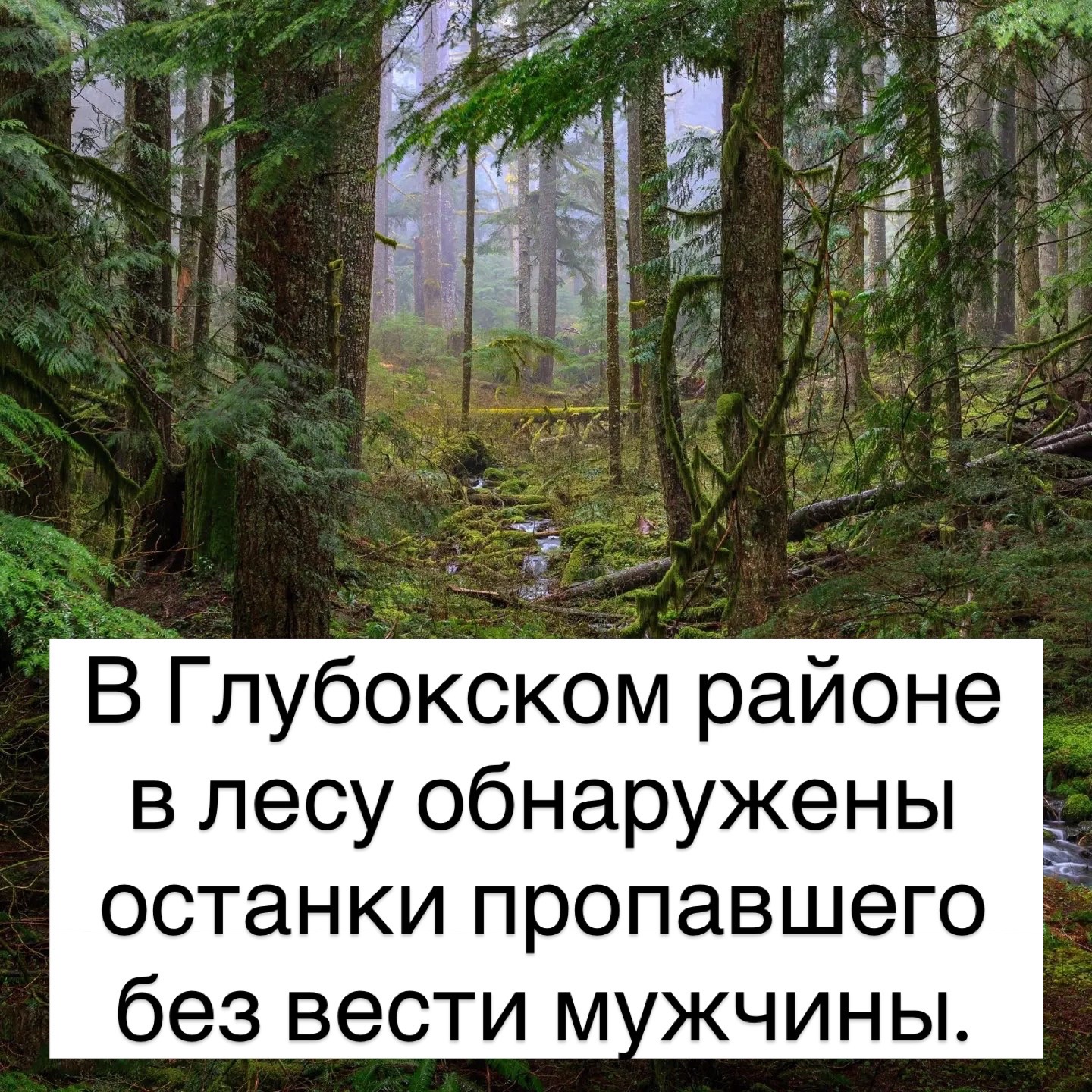 @Novopolotsk_polotsk.by