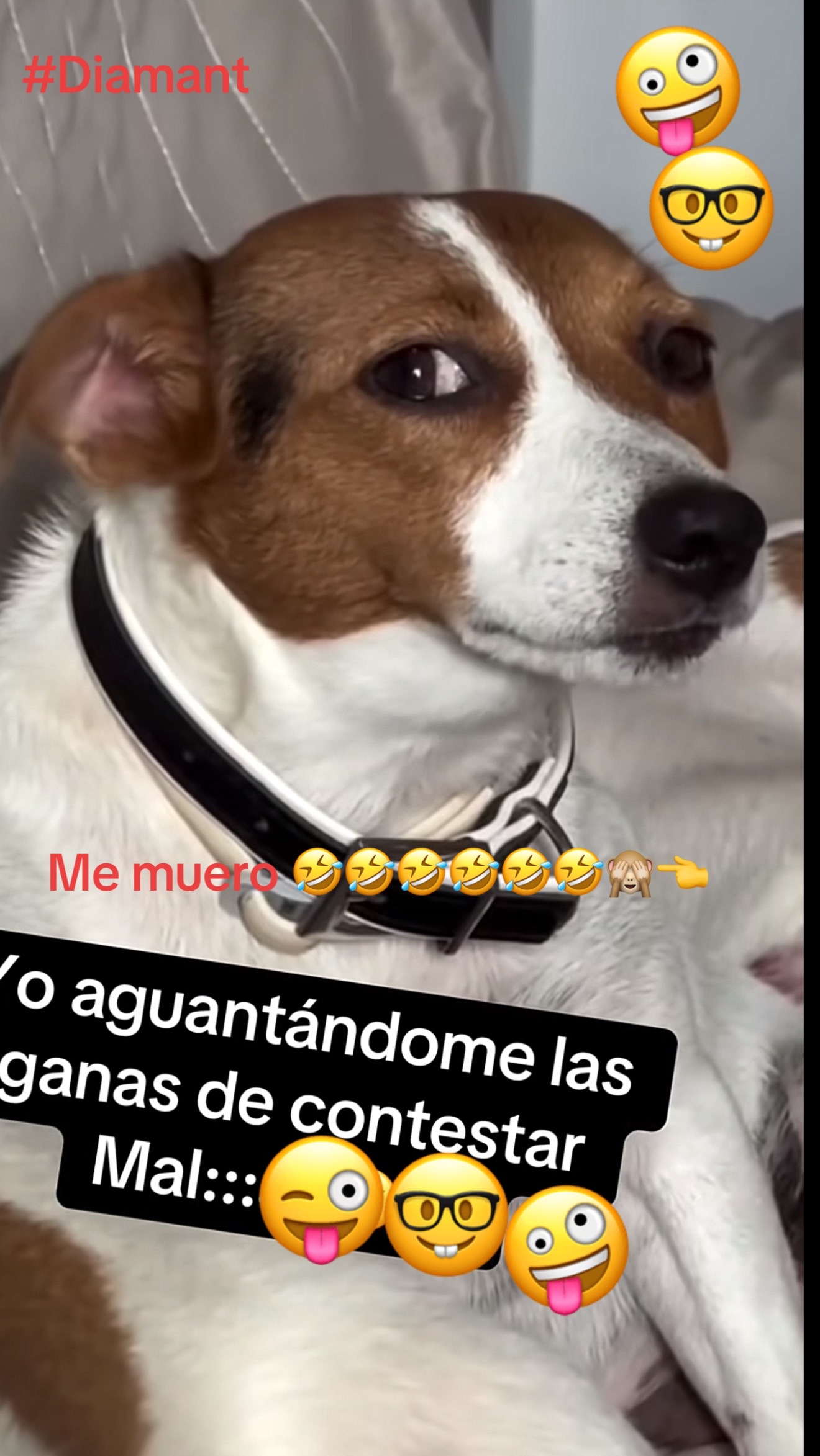 @Diana Umanzor