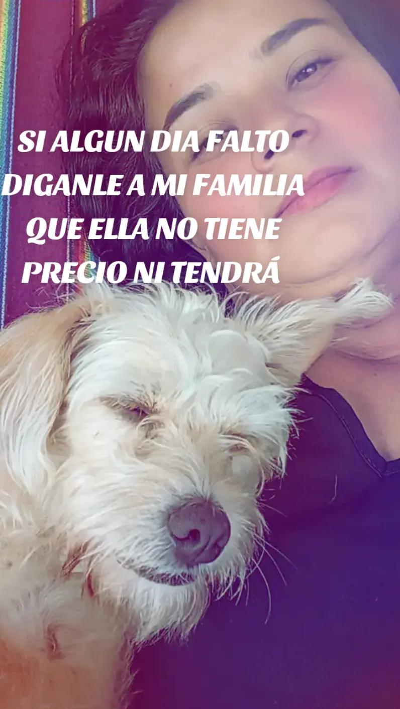 @wuendit