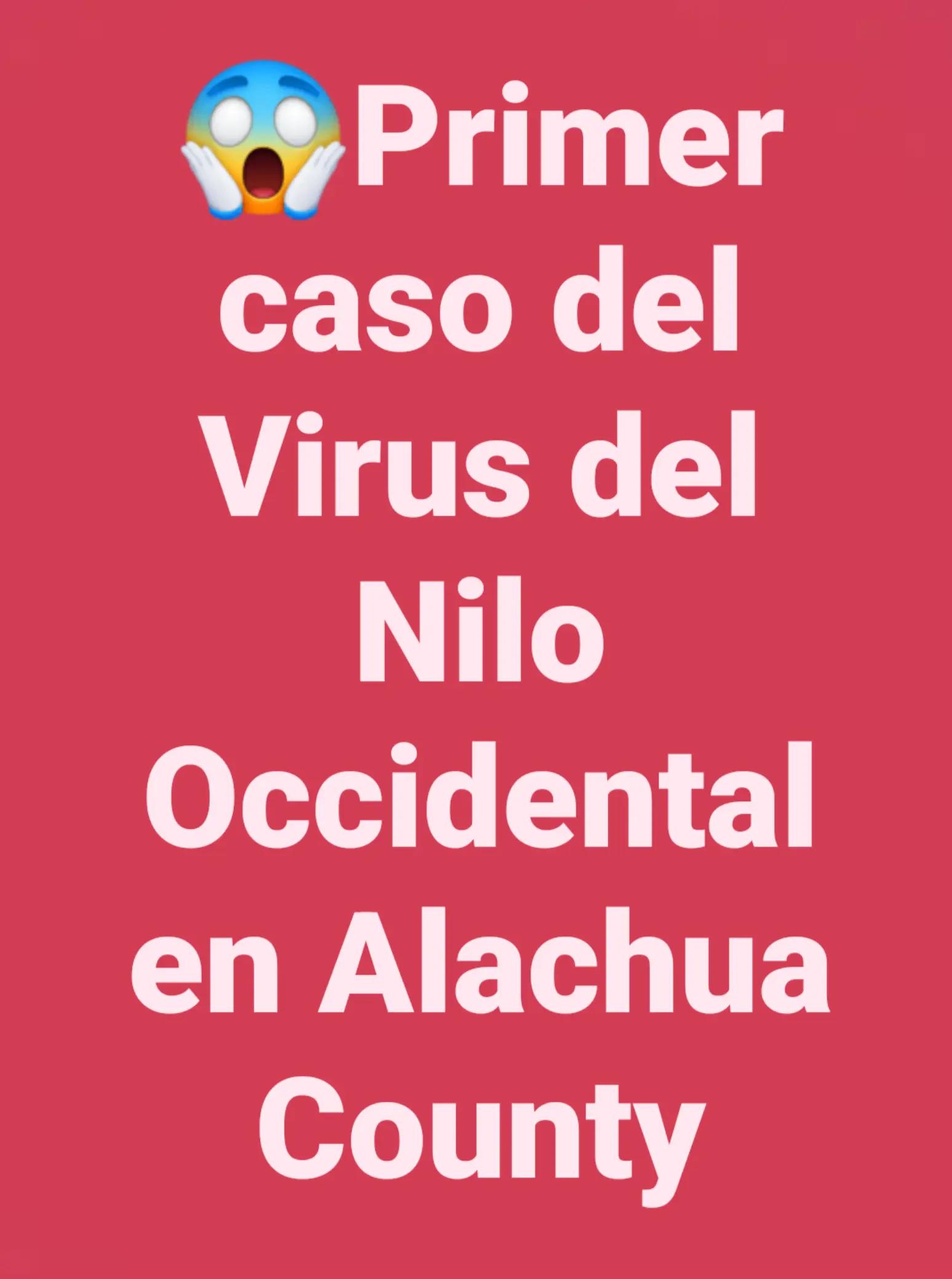 @Notijax