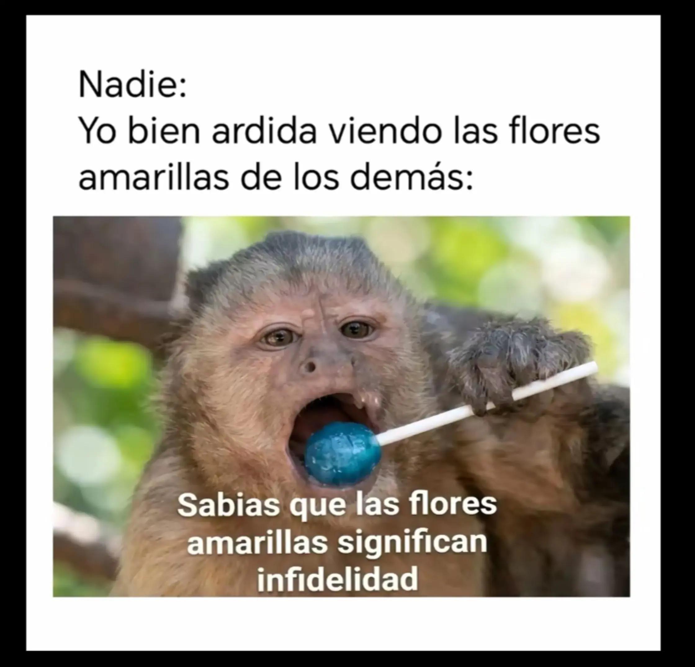 @Leidy Jhoana Ramírez