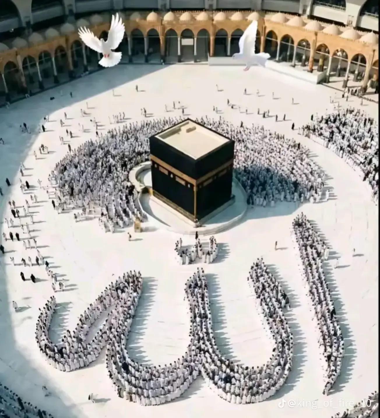 @🫶 🌹মোহাম্মদশরিফ 🫶❤️🥰🌹
