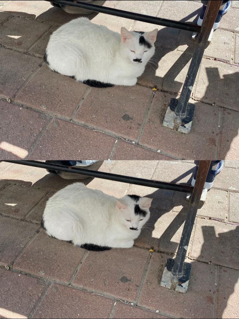 @Şapkalı Kadın
