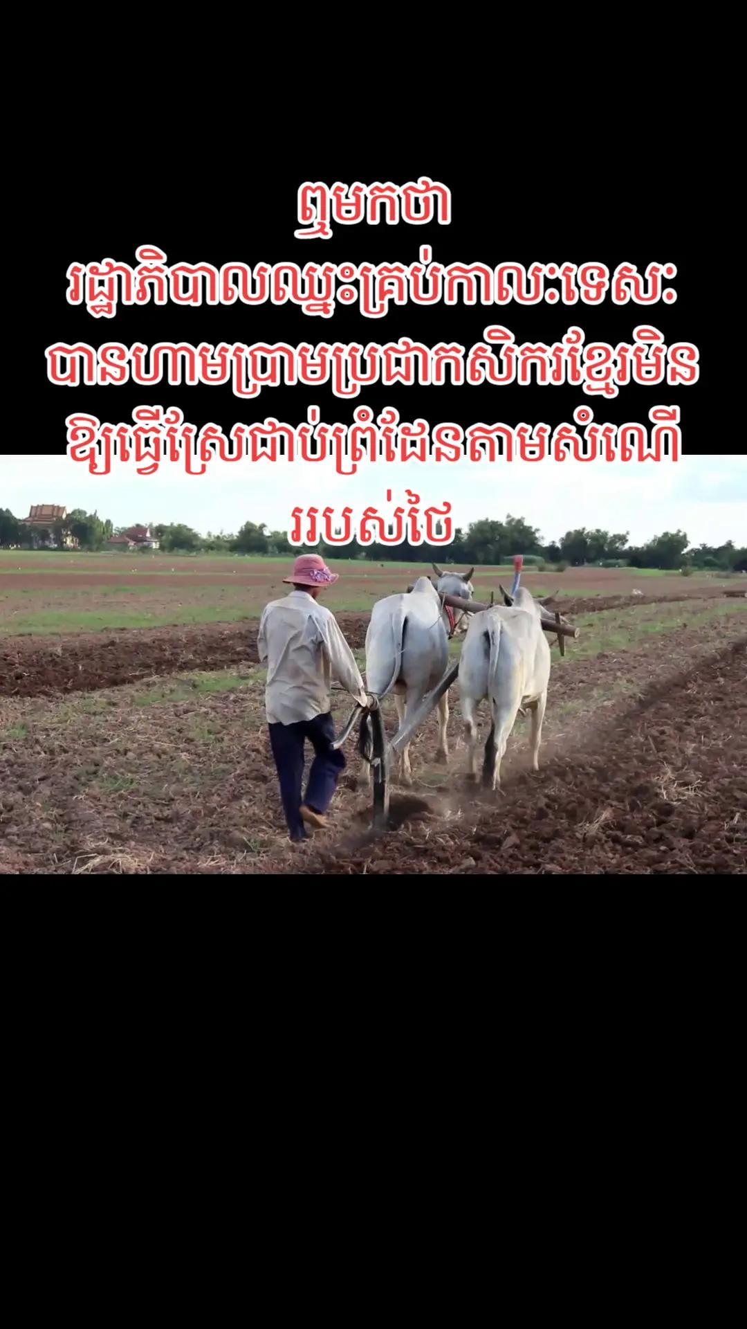 @តក់តក់