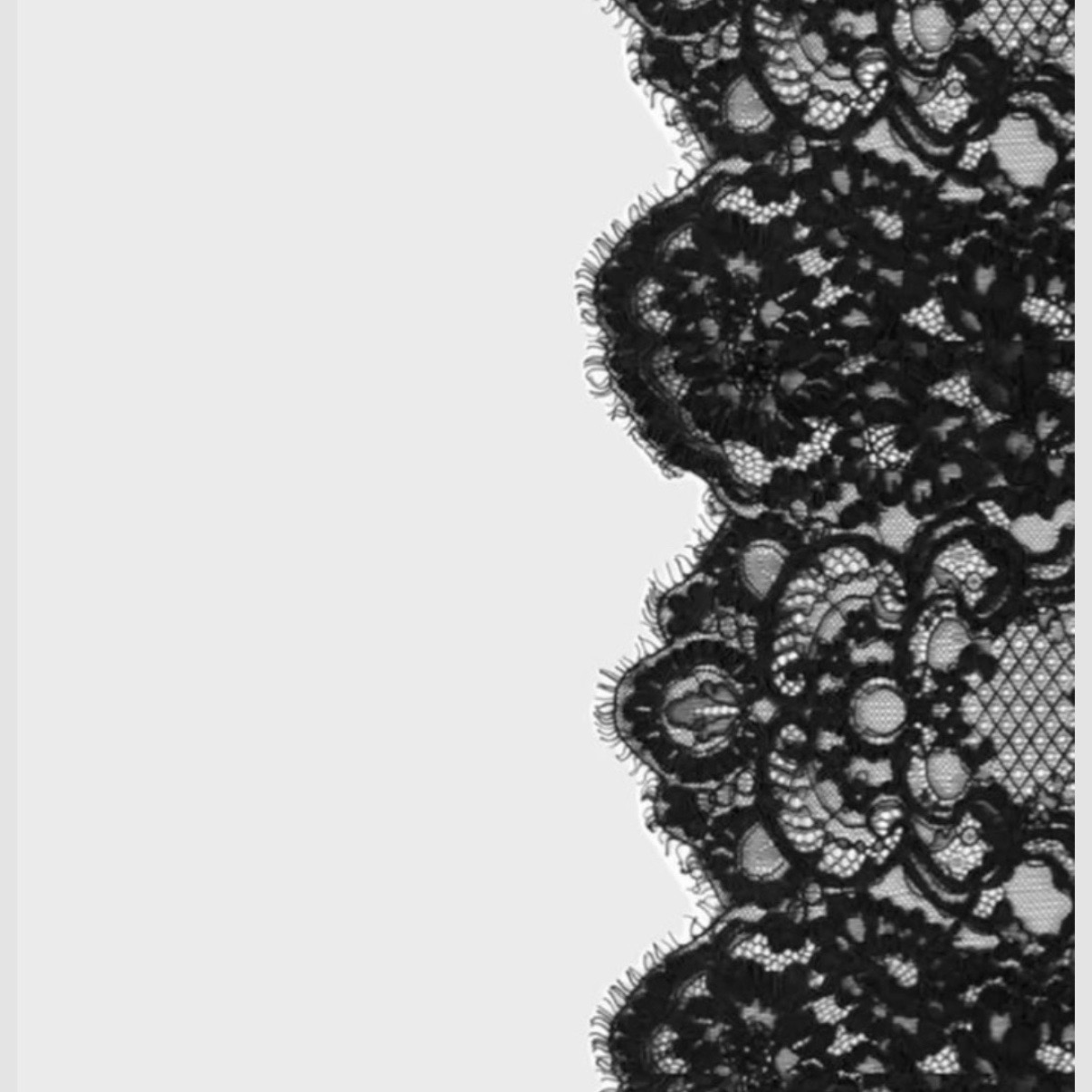@∘˙𓆩꙳┆𝚆𝚎𝚍𝚗𝚎𝚜𝚍𝚊𝚢┆꙳𓆪˙∘