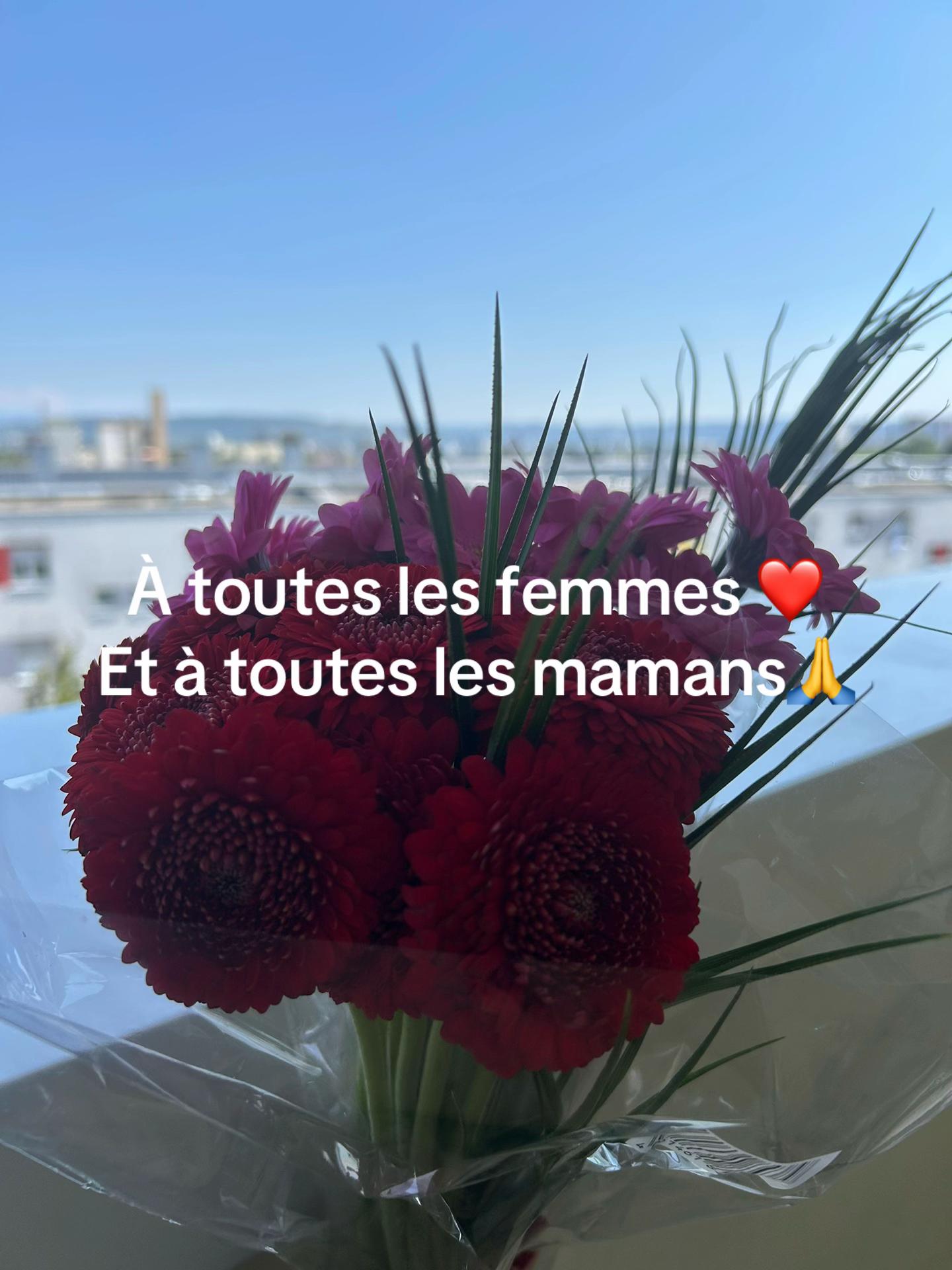 @lavieestbellebel