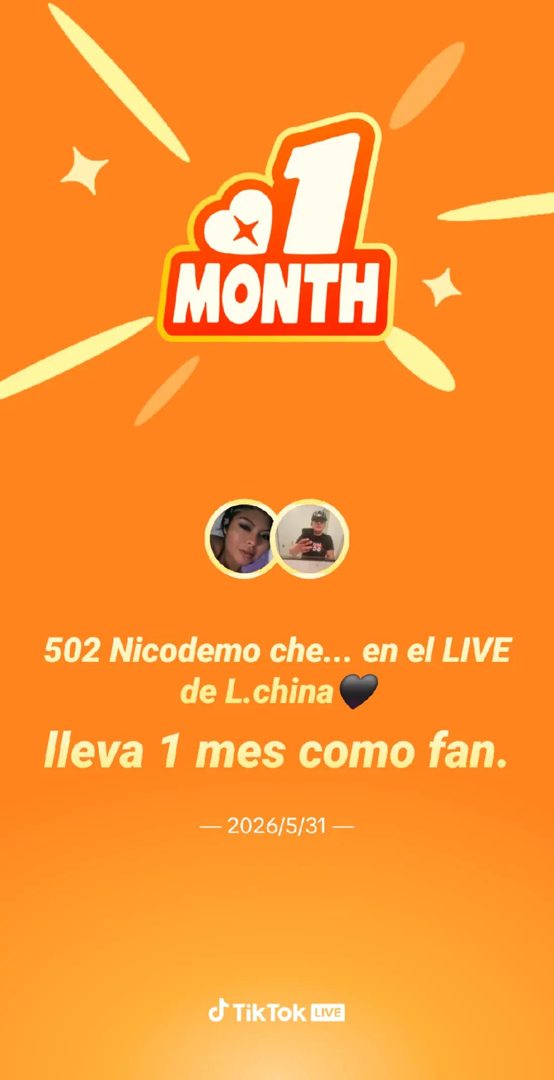 @502 Nicodemo chenitho