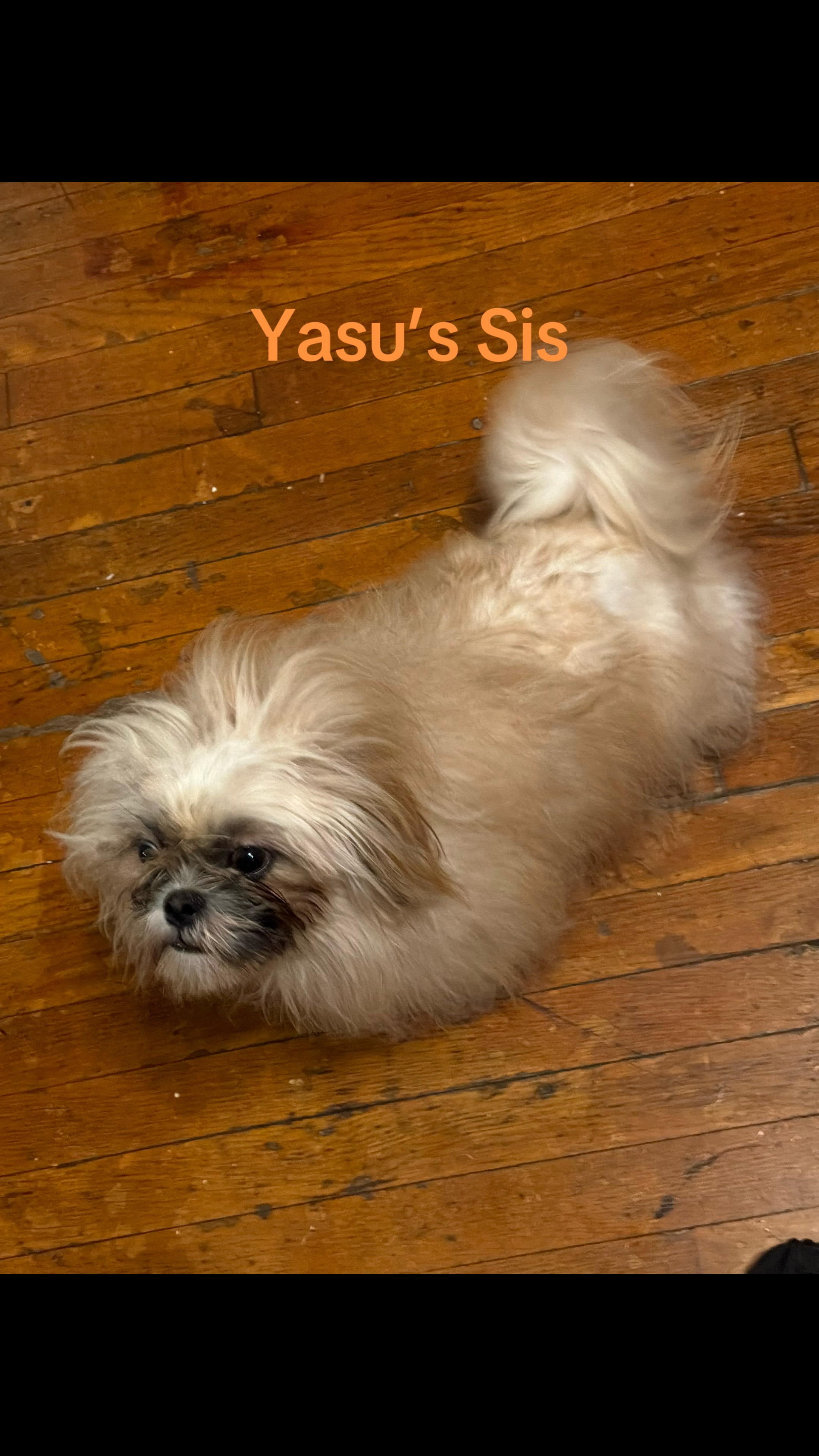 @YasuThings