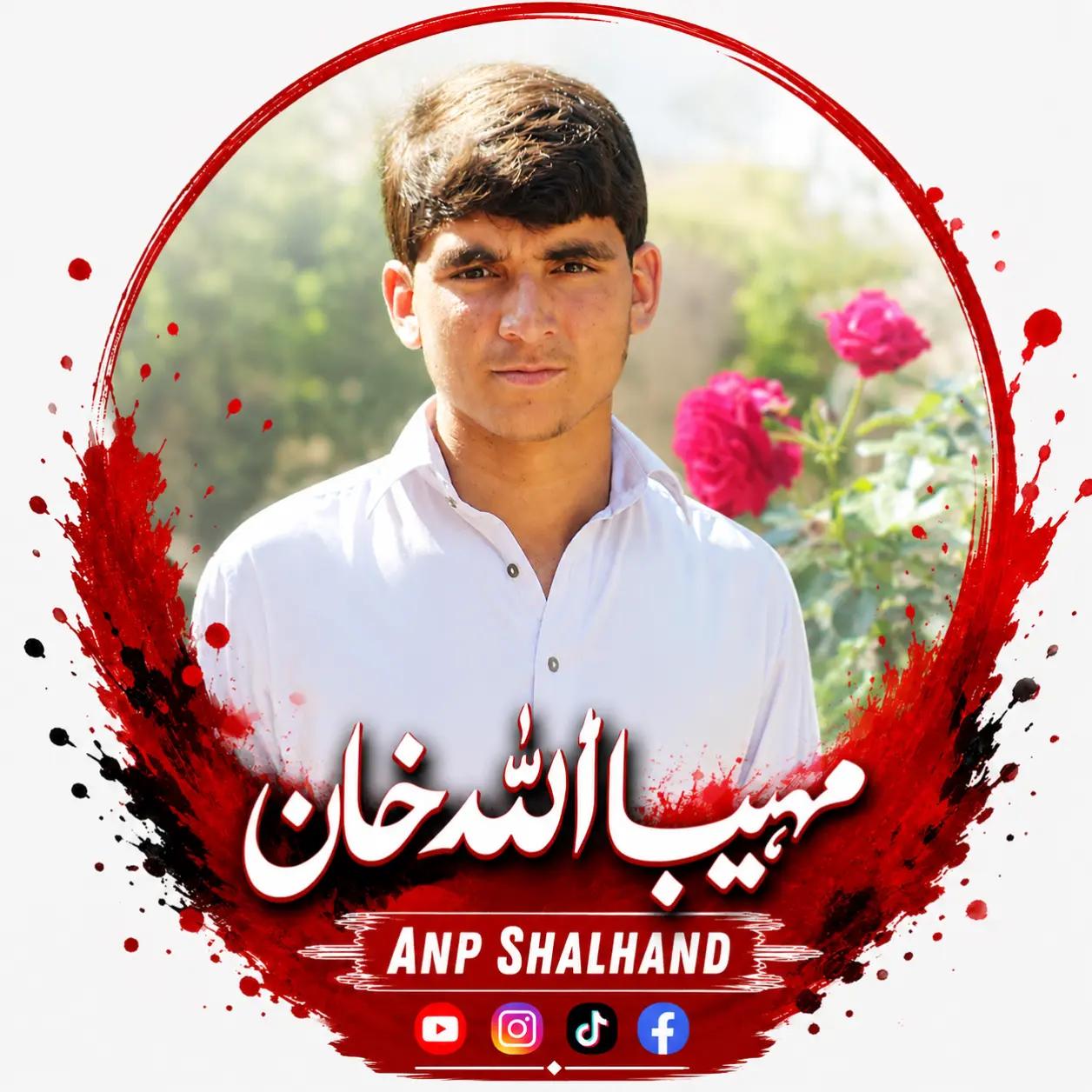 @AnpShalhand🔹