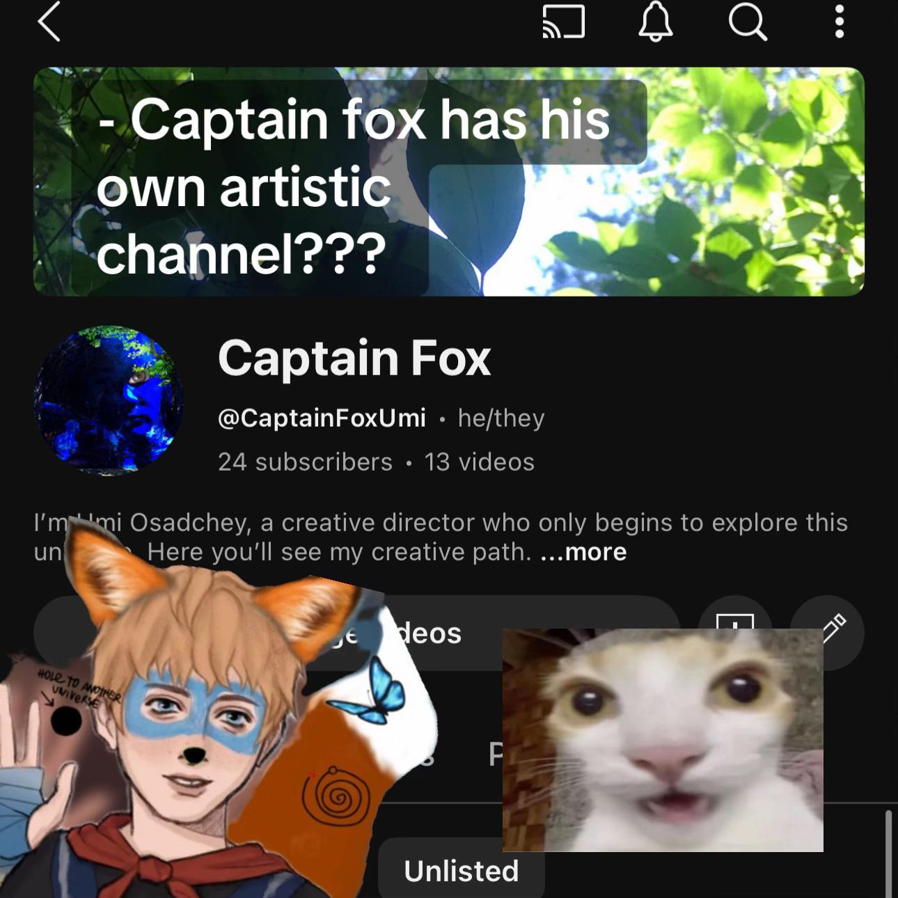 @Captain Fox
