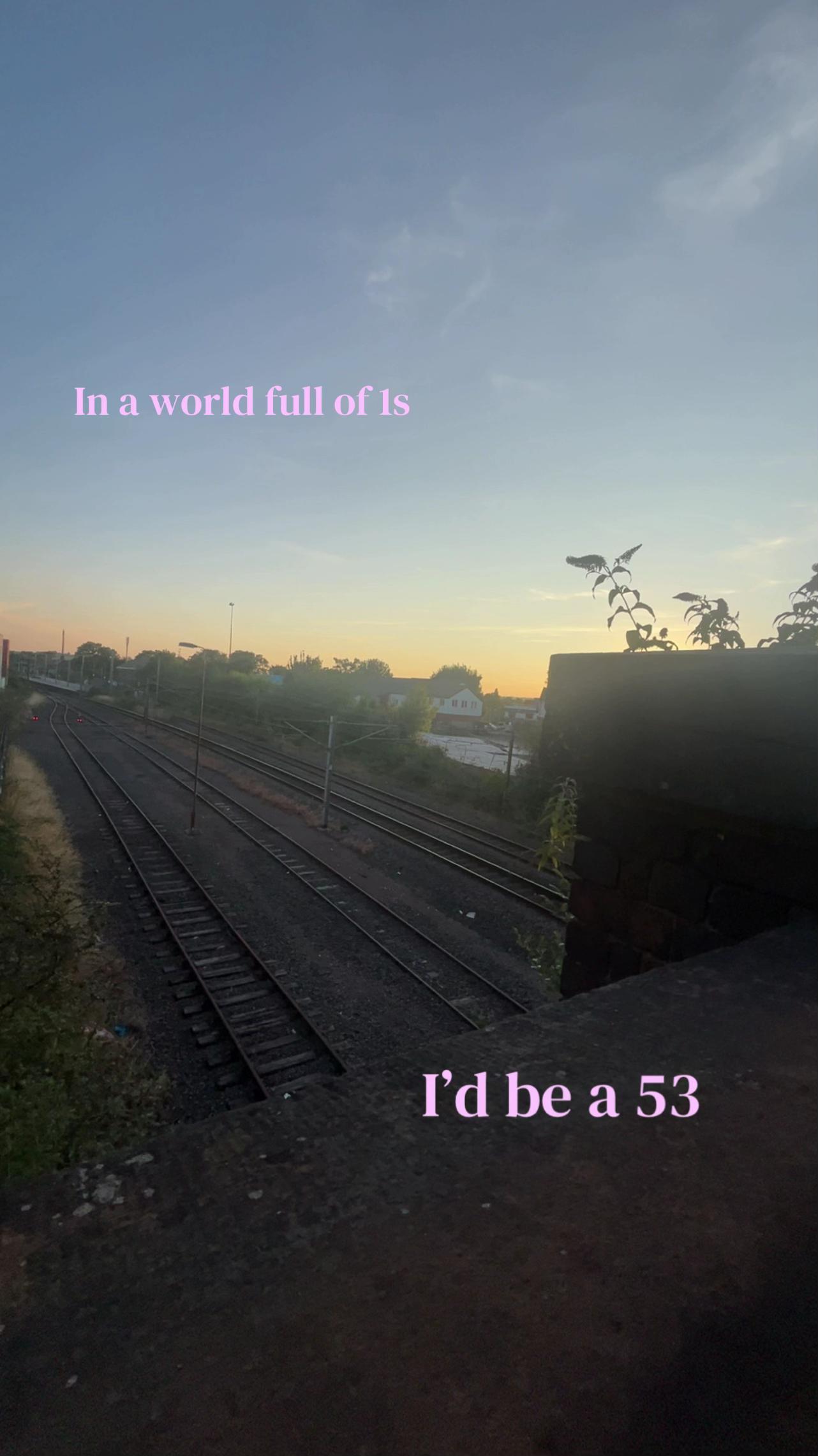 @୨୧ 𝓑𝓵𝓸𝓼𝓼𝓸𝓶~𝓻𝓸𝓼𝓮 ୨୧
