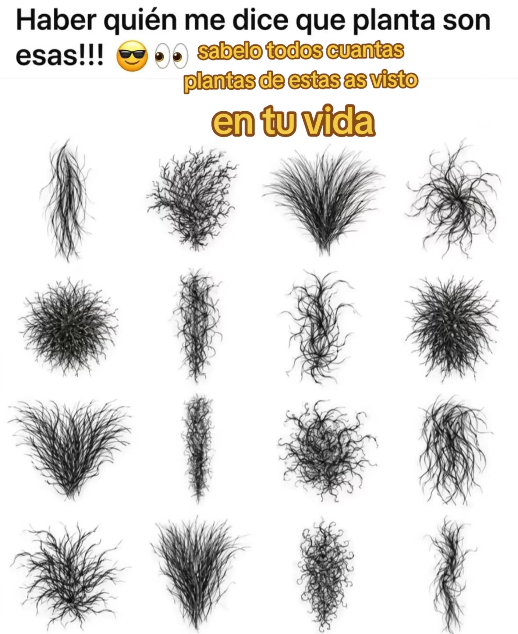 @Erlin Gavarrete
