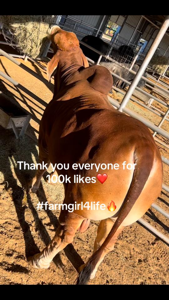 @farm girl..life
