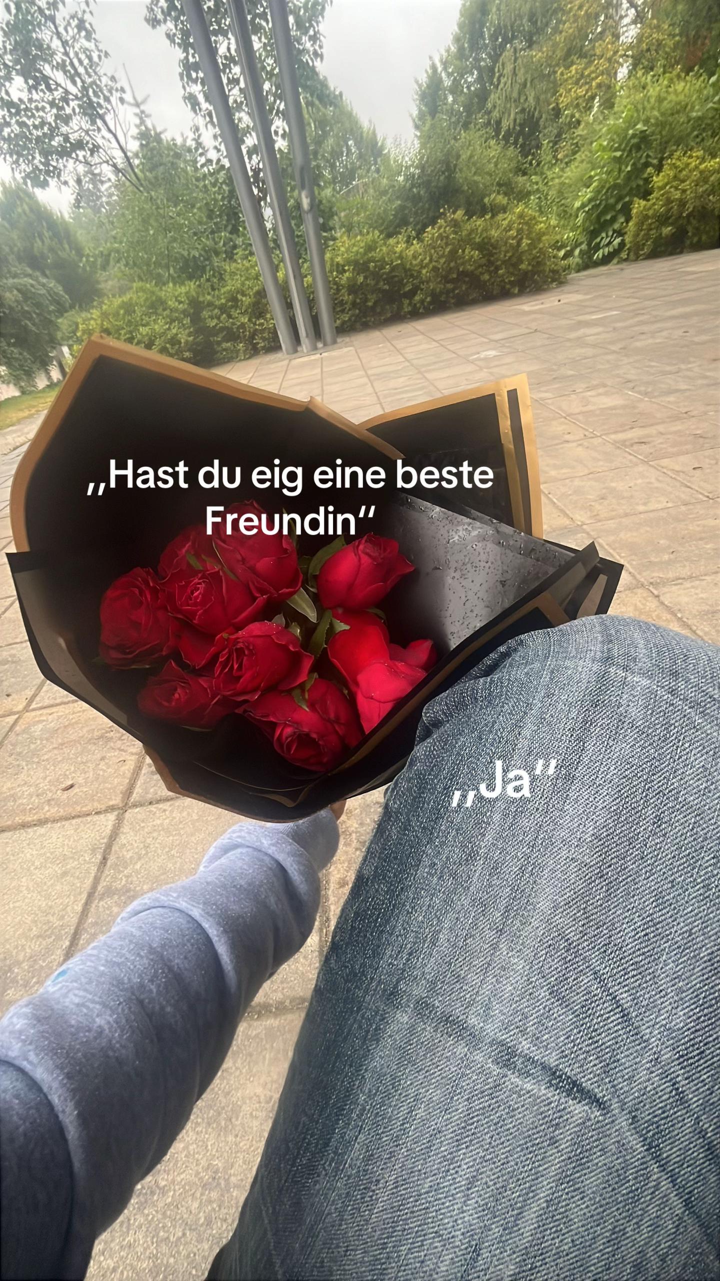 @Ayleen