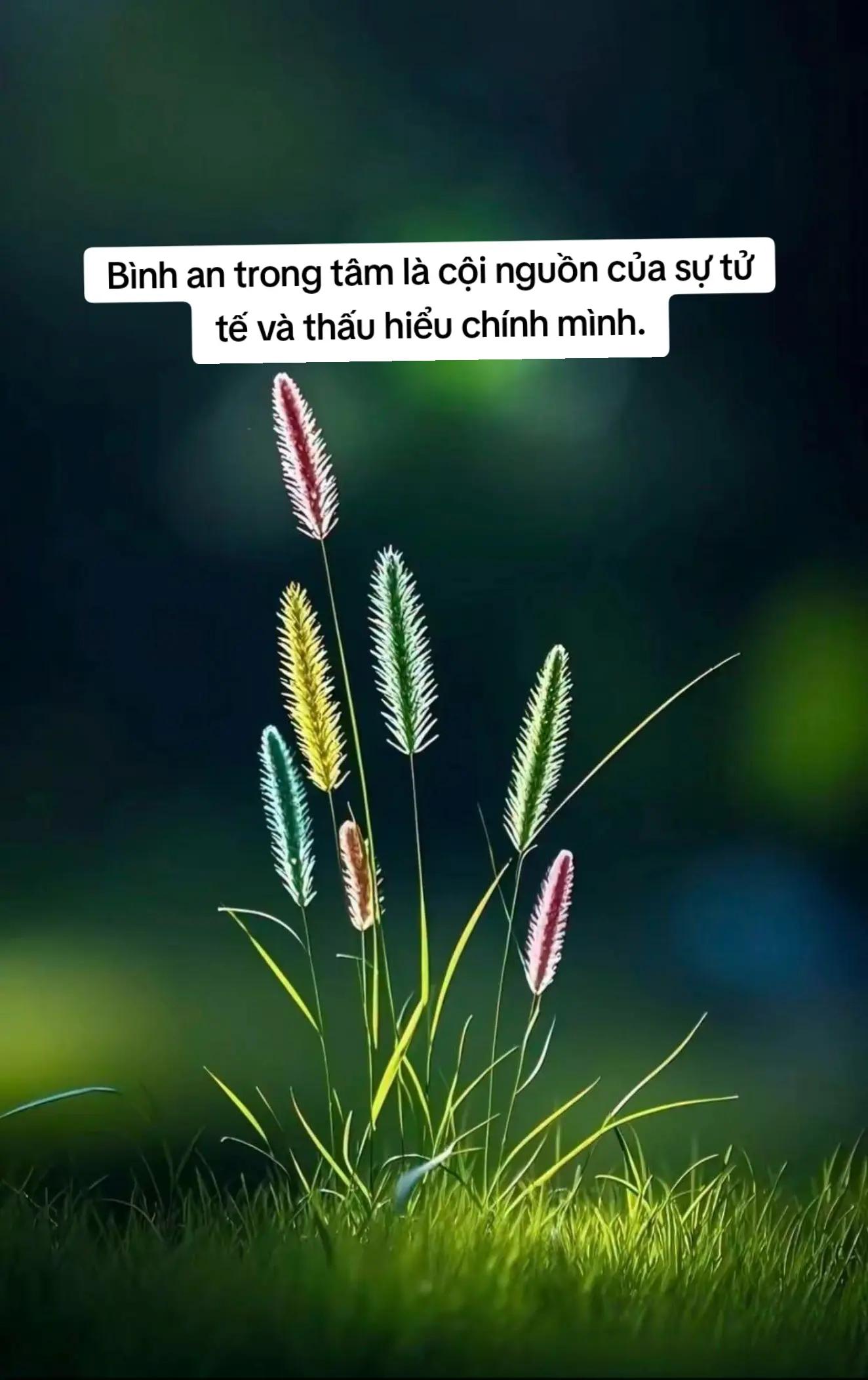 @Hồng Nguyệt