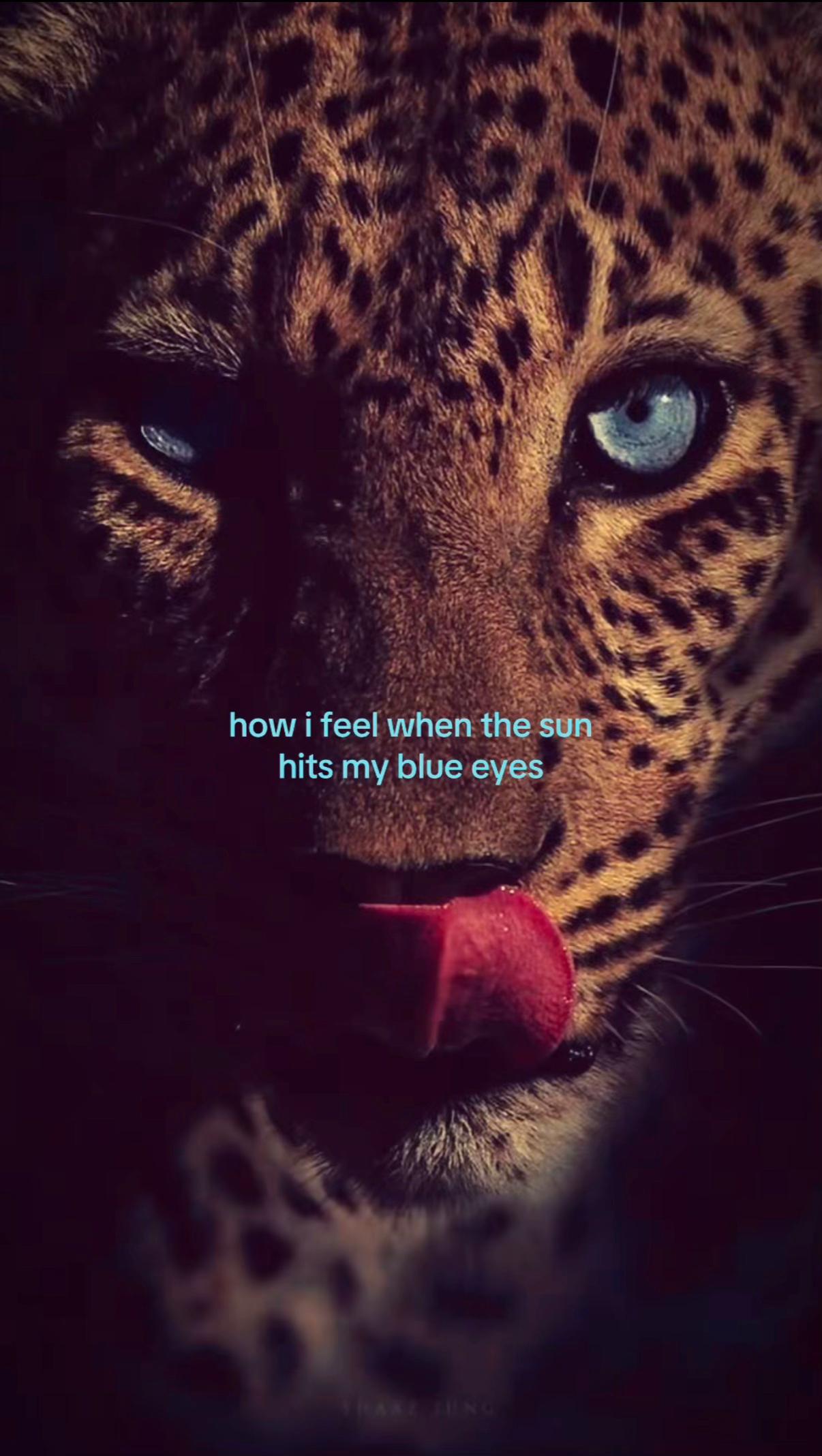 @𝓁𝒶𝓇𝒶 𝓈𝑜𝓅𝒽𝒾𝑒