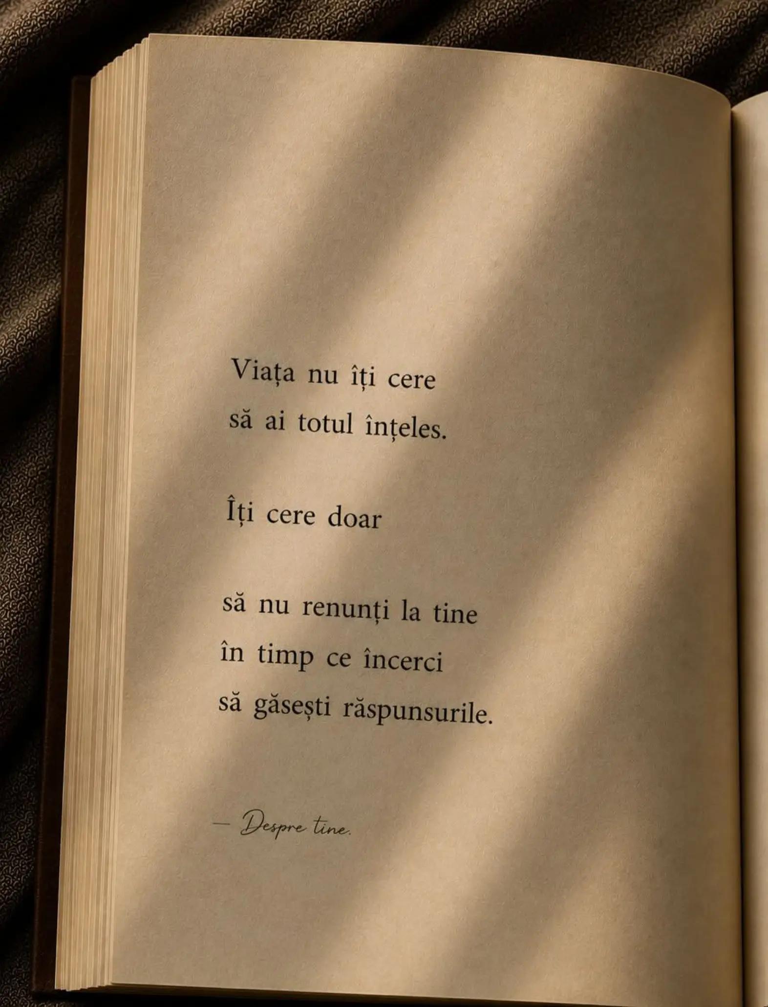 @Dyana Lupu