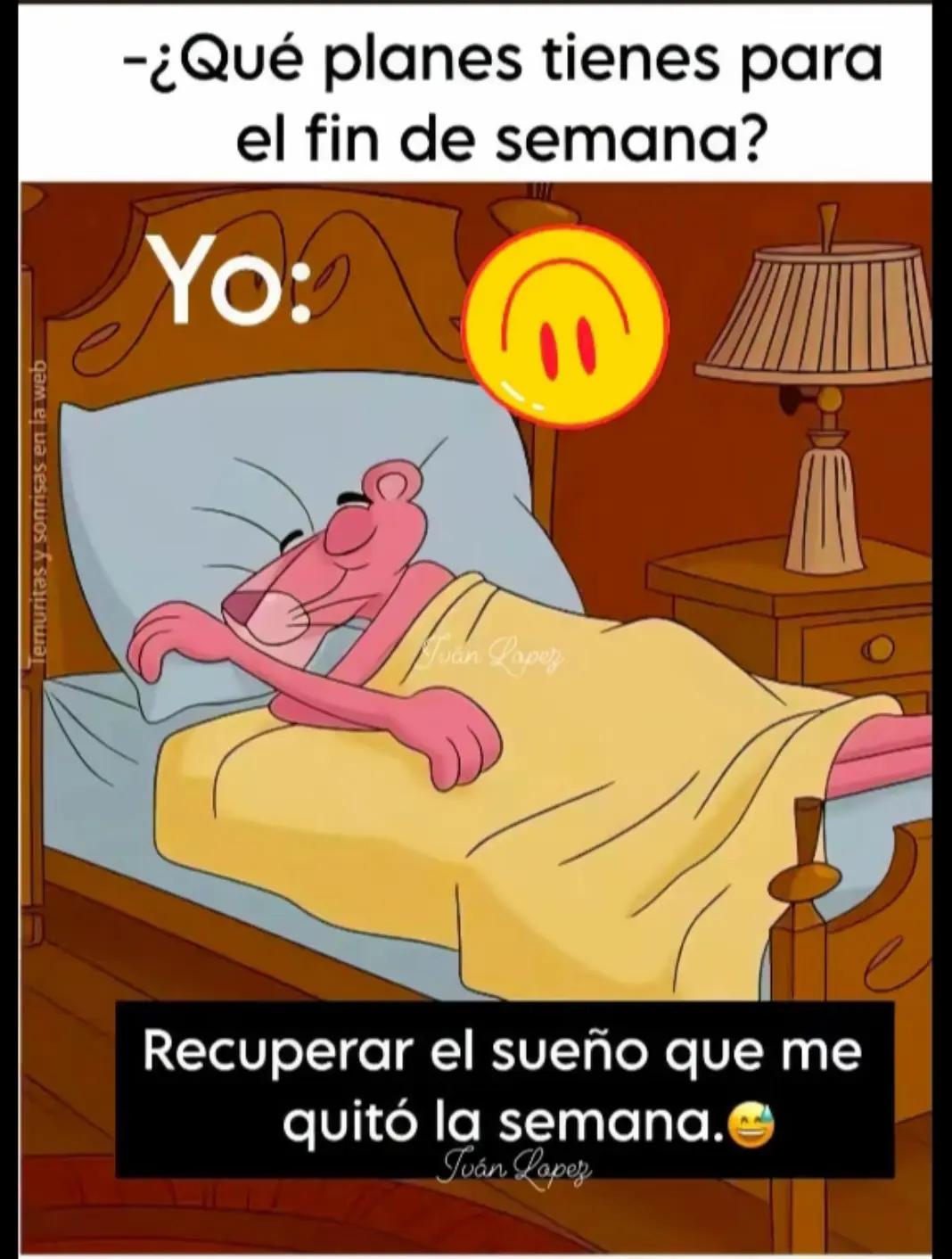 @sandrabch18