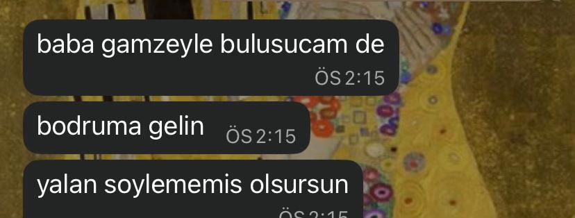 @birisi⁷