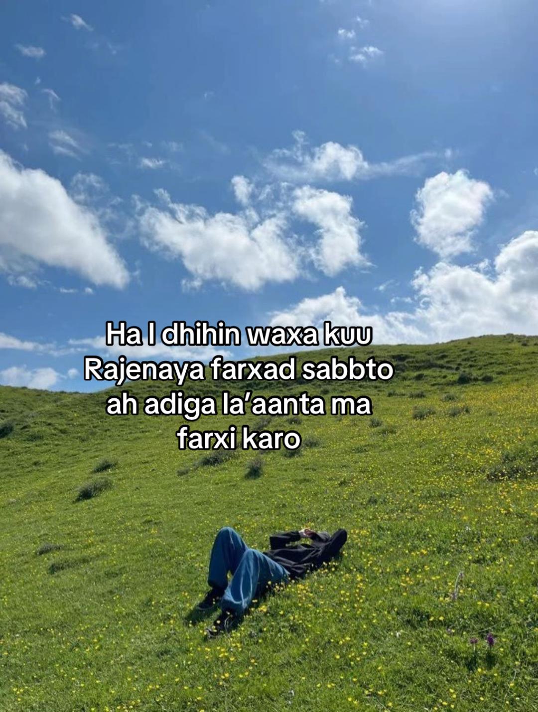 @ahmet