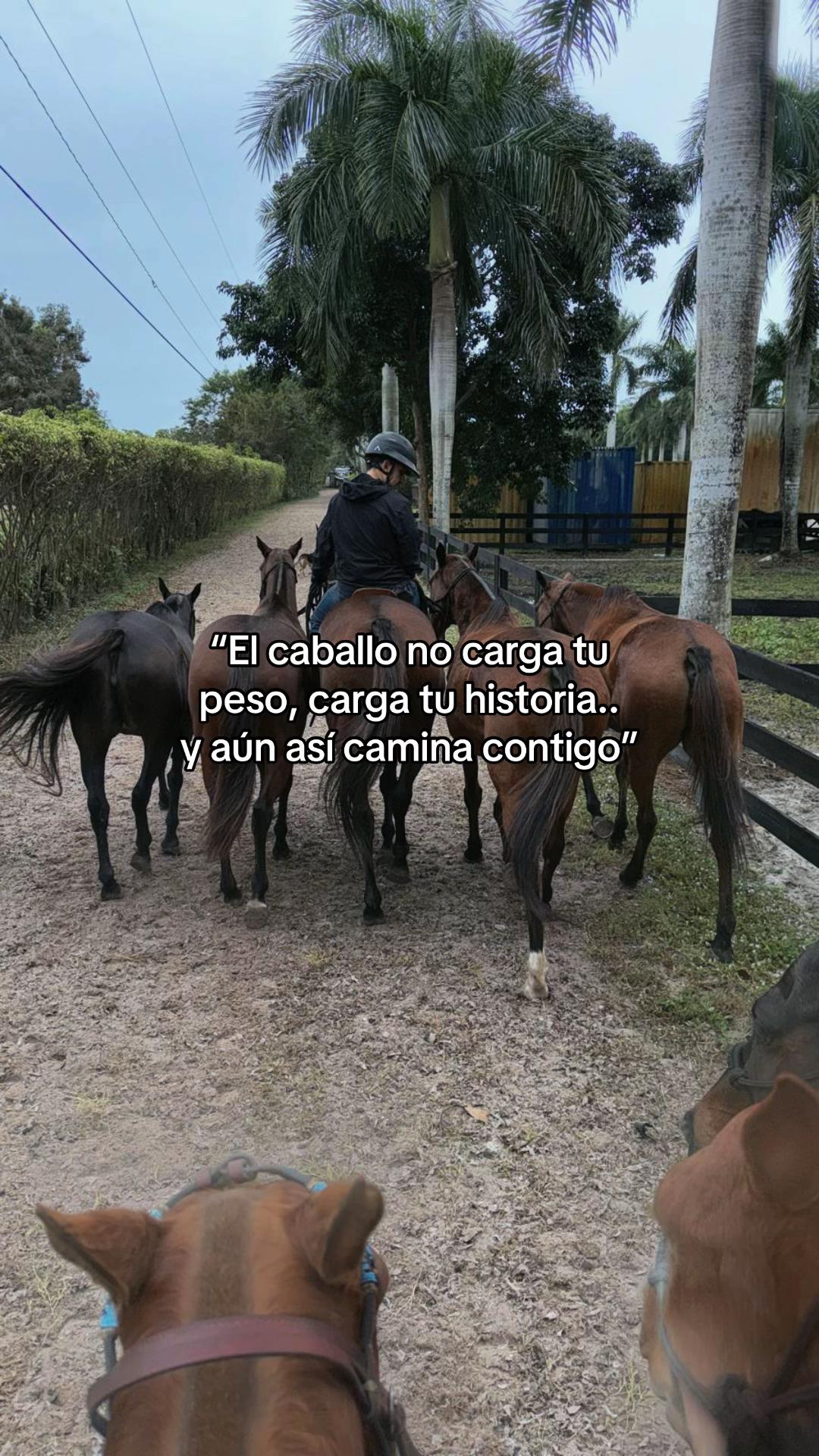 @Lara.lrc