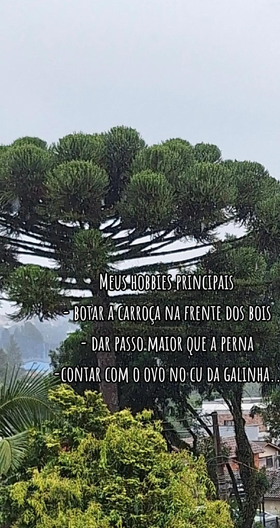 @Wellington de Lara