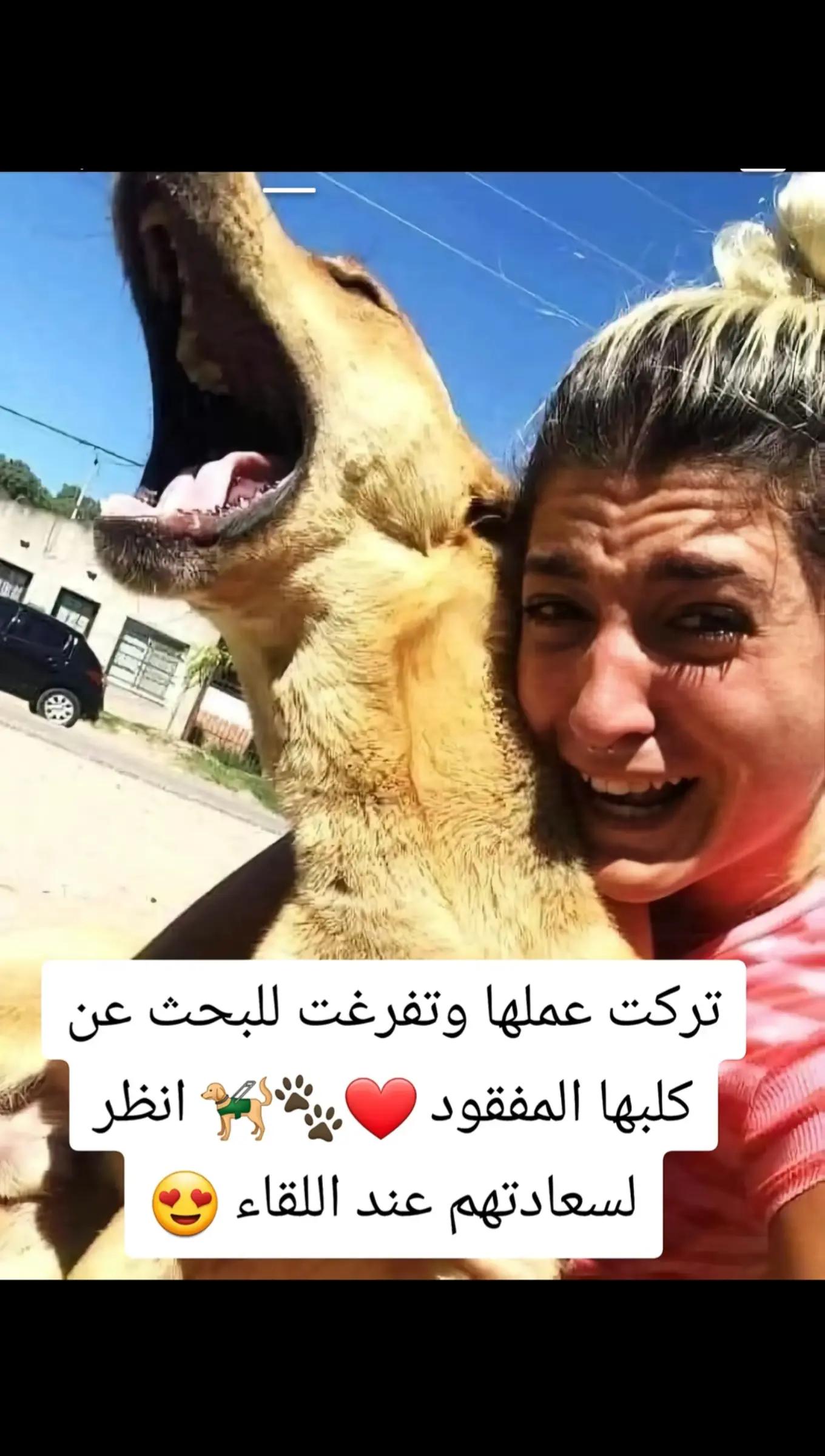 @〖✌︎غــــيۣۗہـمٓــةّ𝄠ۛᏉᎥᏢ𖣫𓄂〗