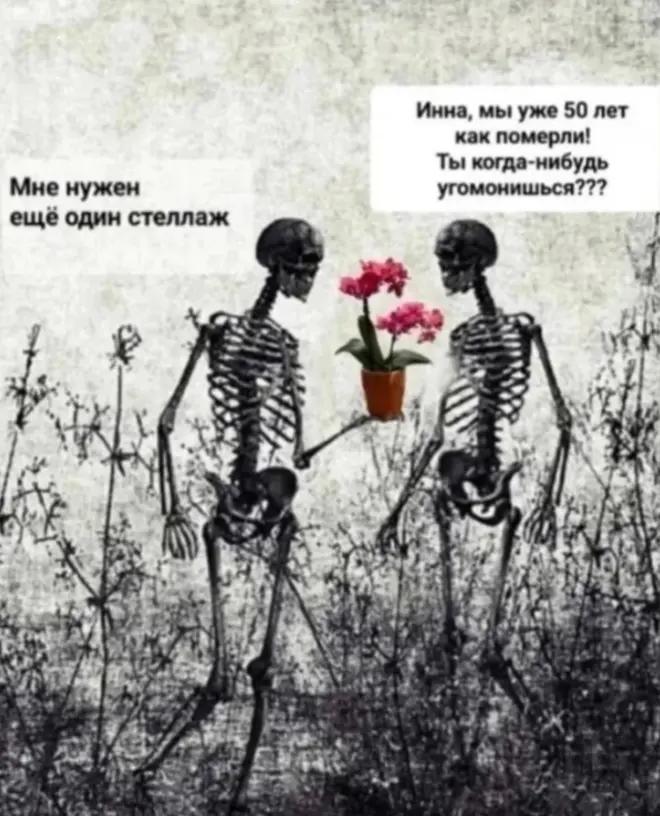 @Ромик Цветовод