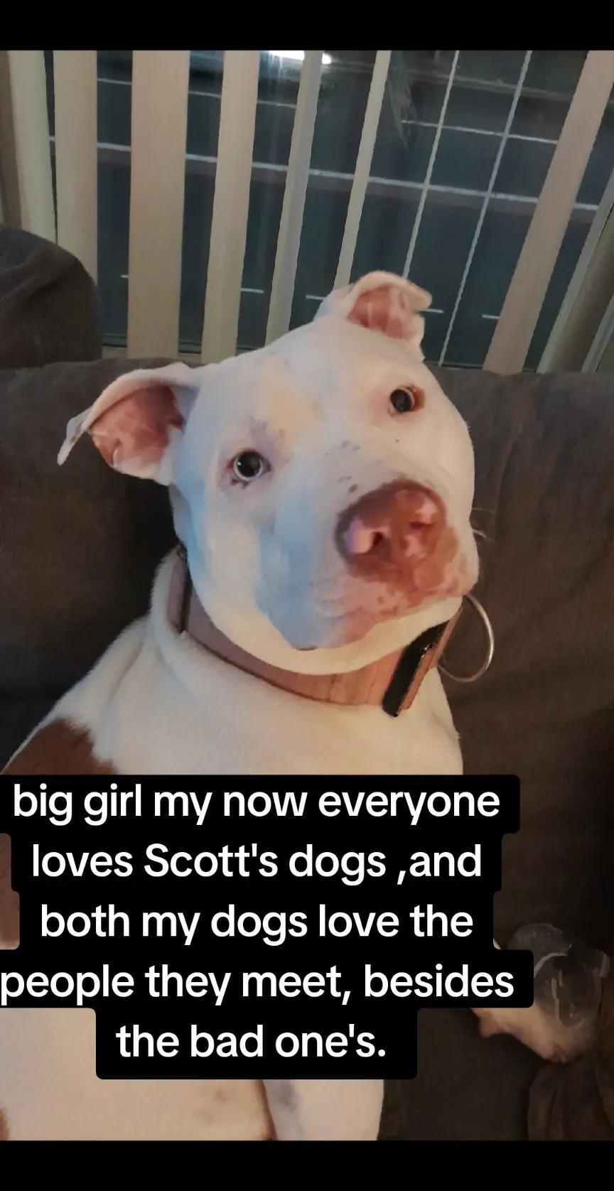 @scott