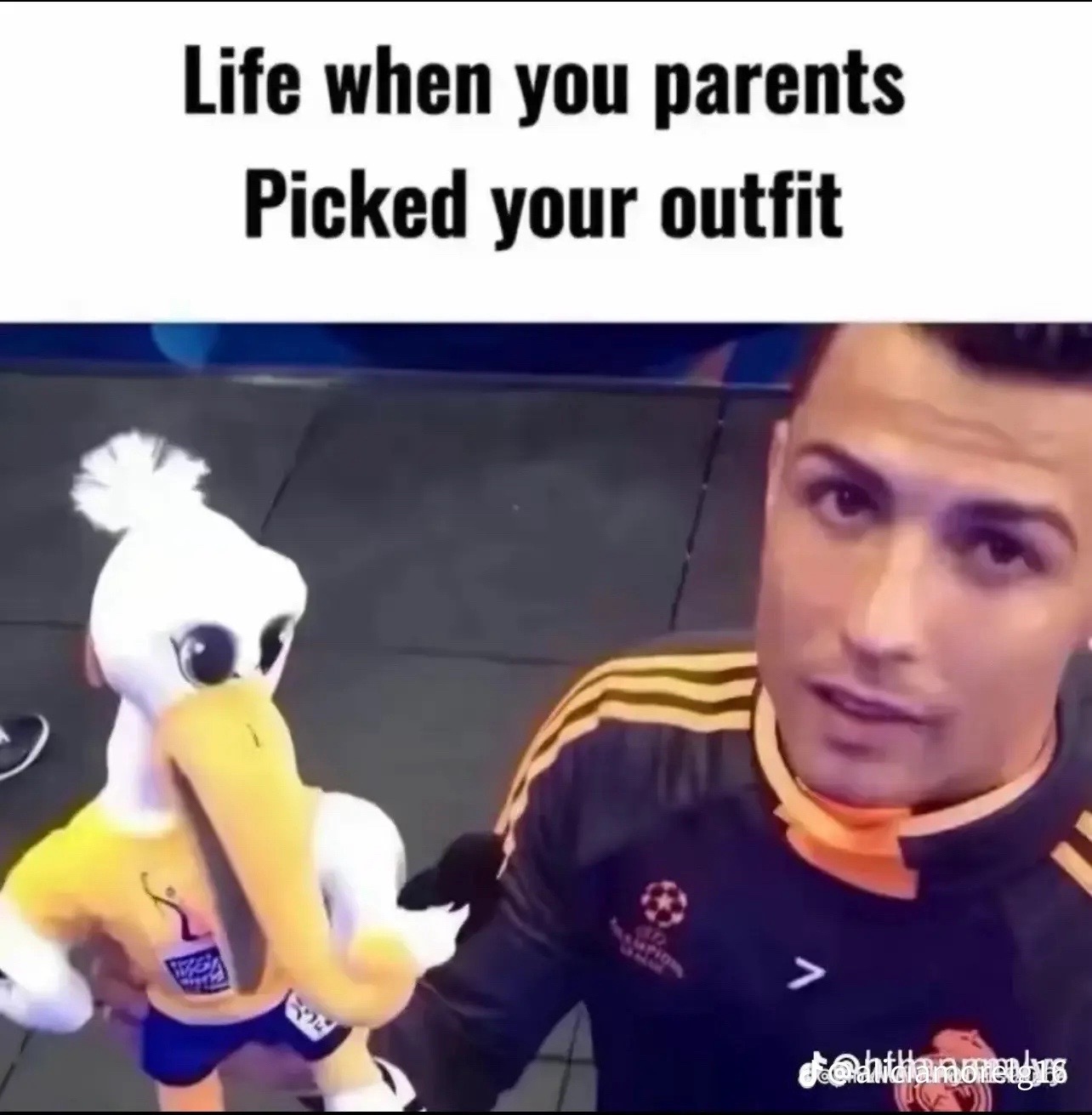 @omg.is_that.Xzeria