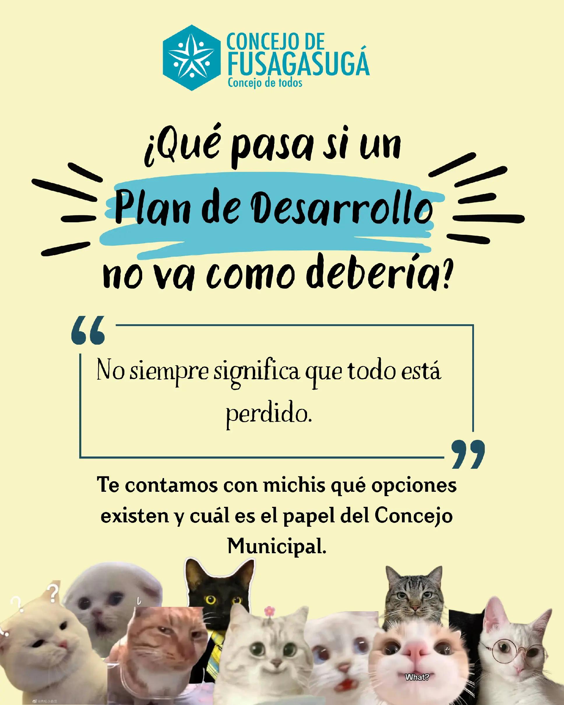 @Concejo de Fusagasug&aacute;